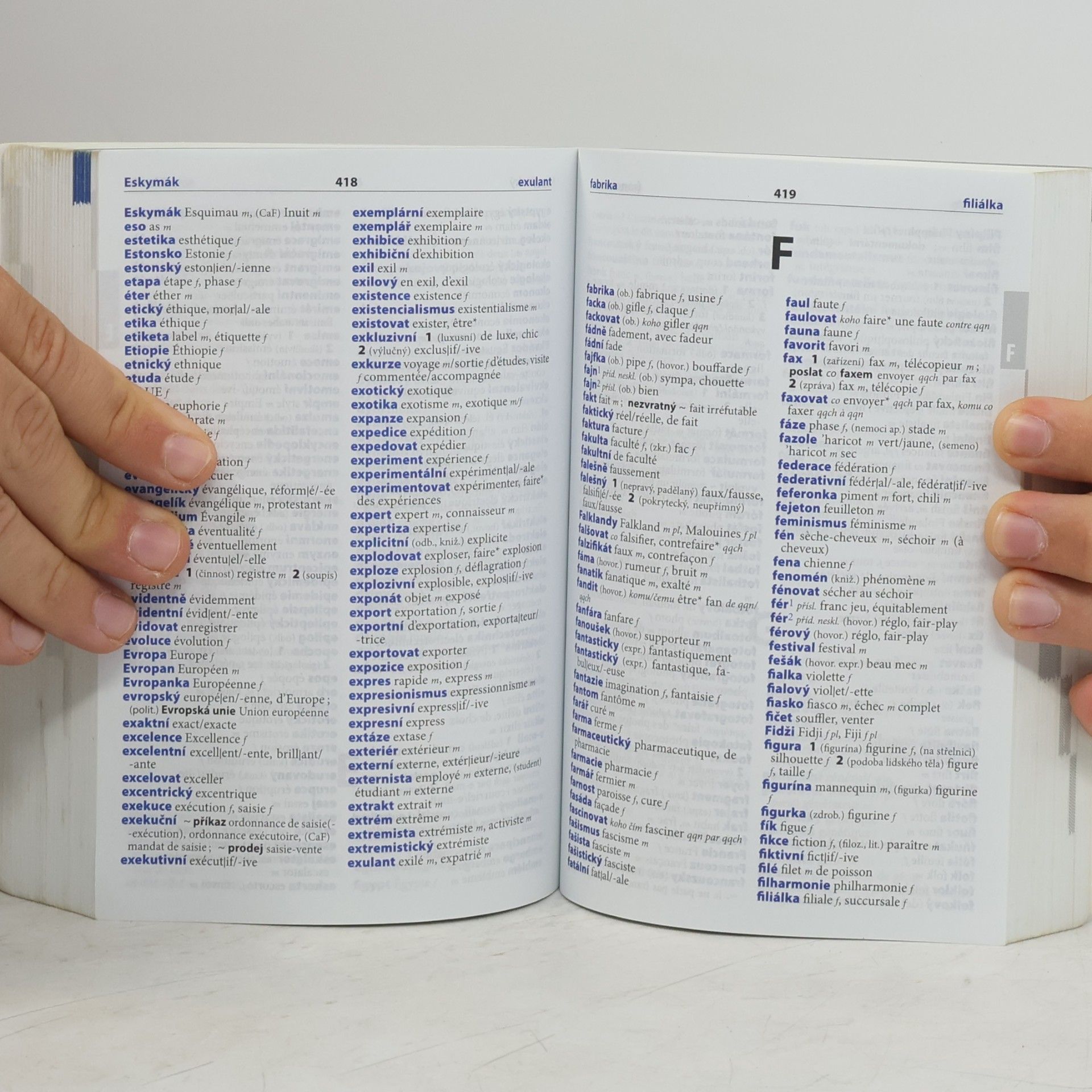 Autorenkollektiv Francouzsko-český, česko-francouzský šikovný slovník