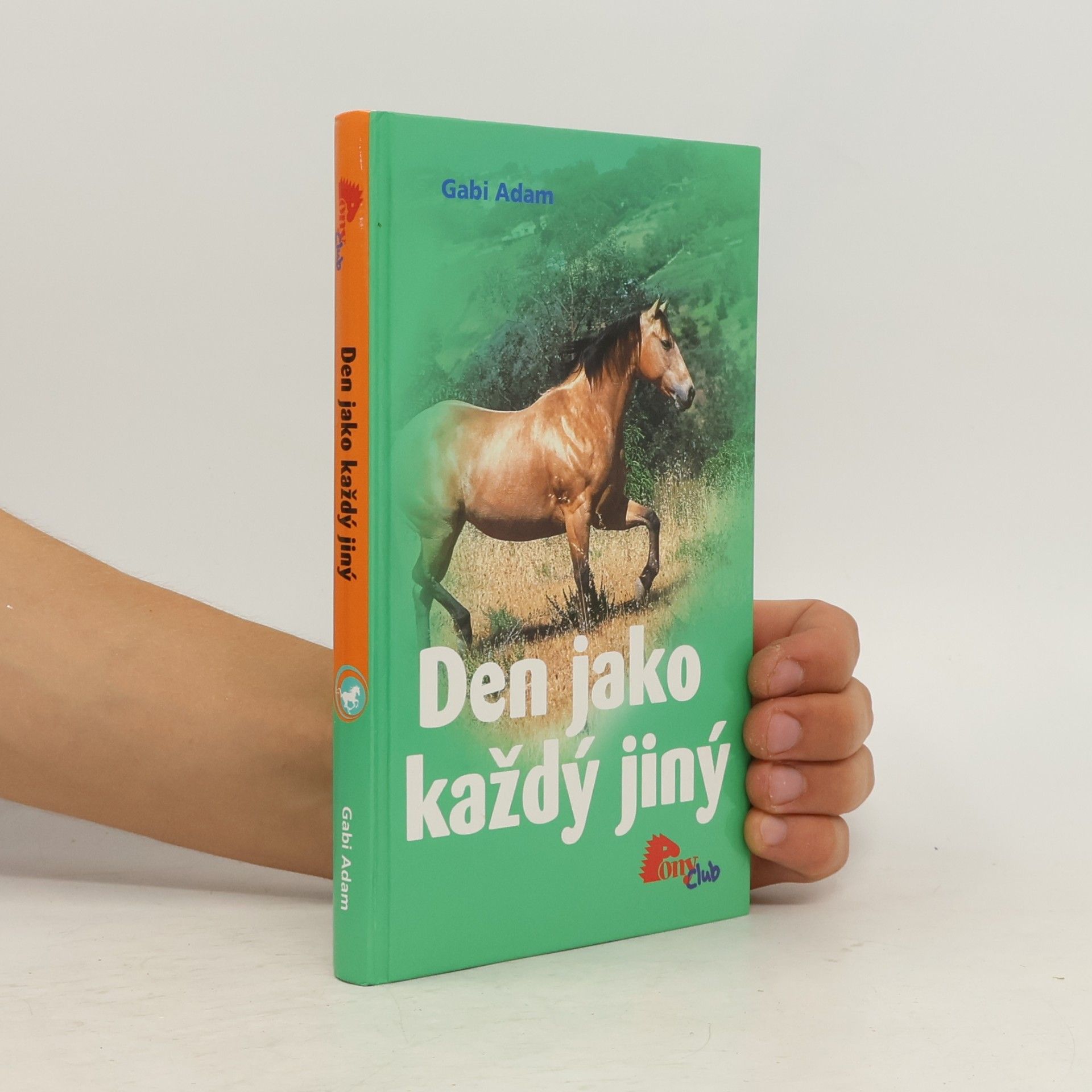 Gabi Adam Den jako každý jiný