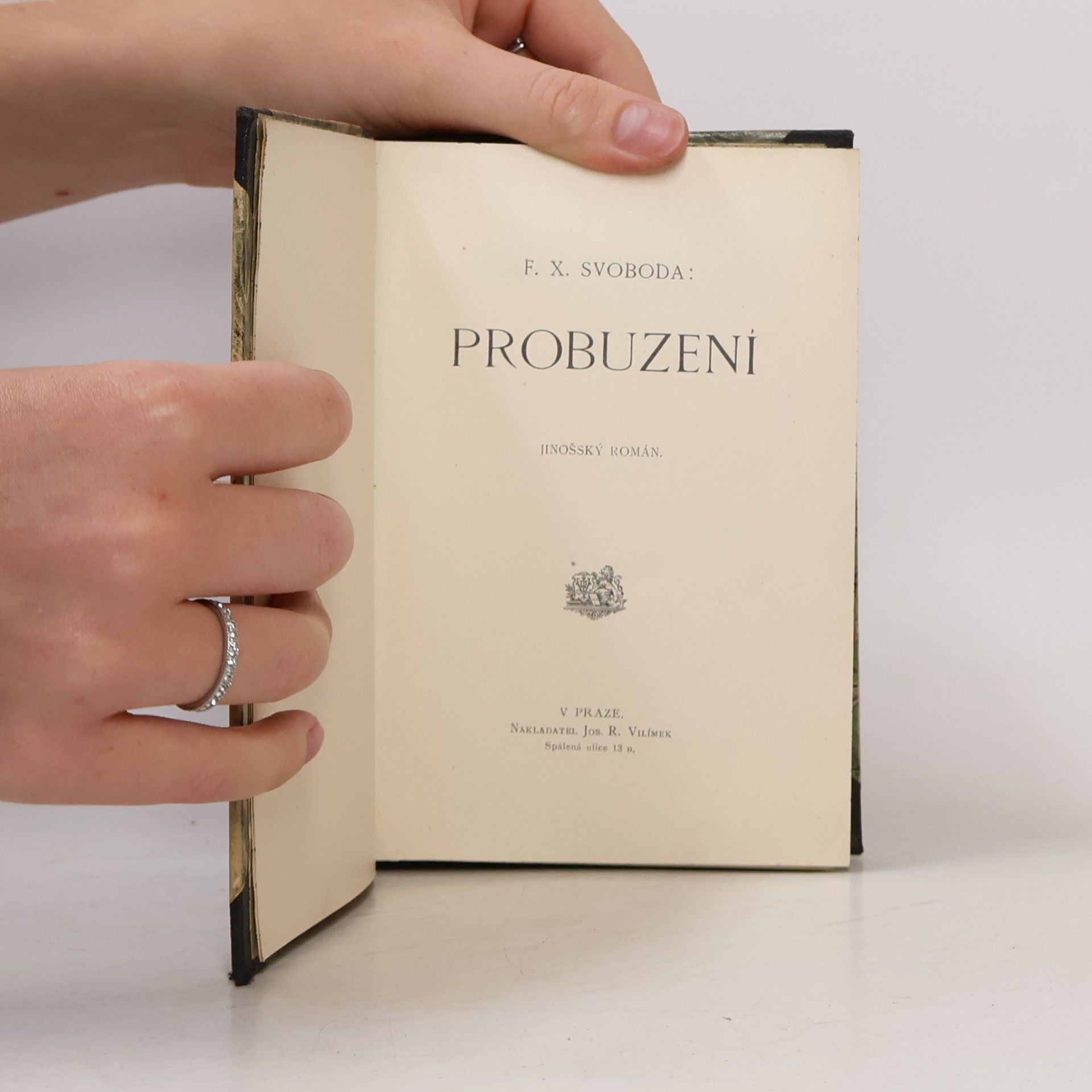 F. X. Svoboda Probuzení