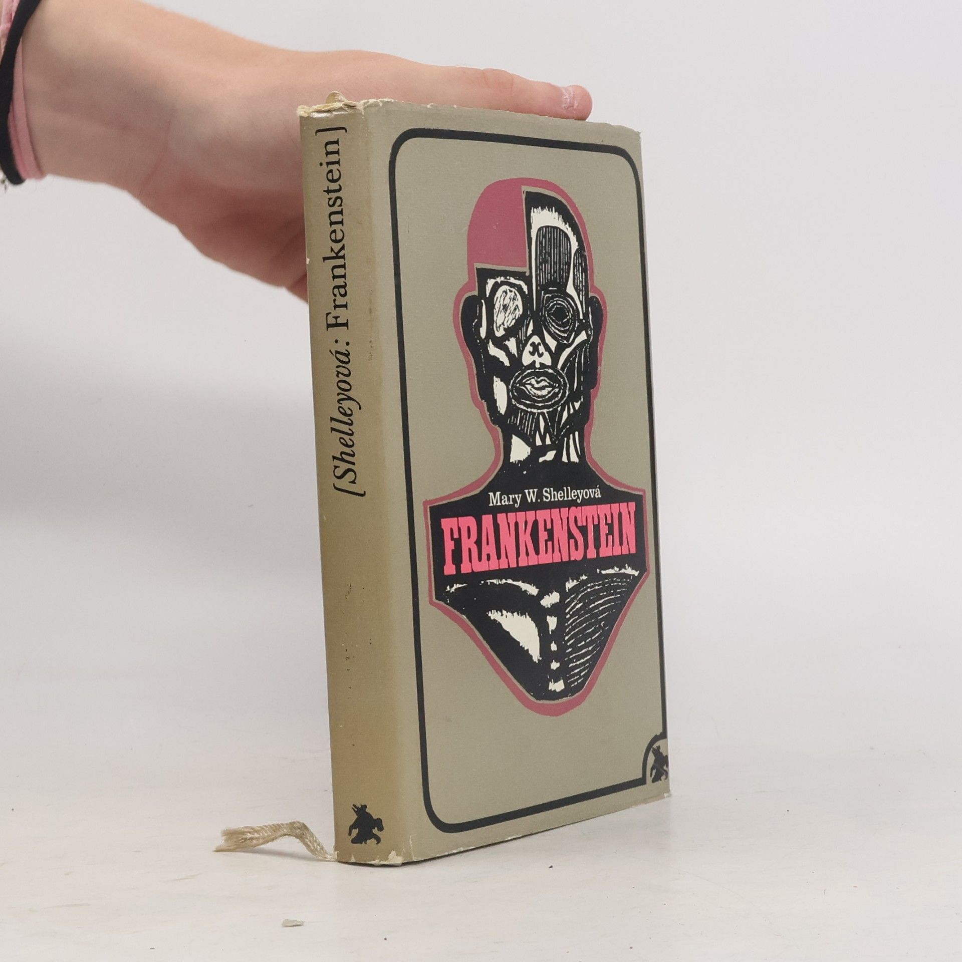 Mary Shelley Frankenstein