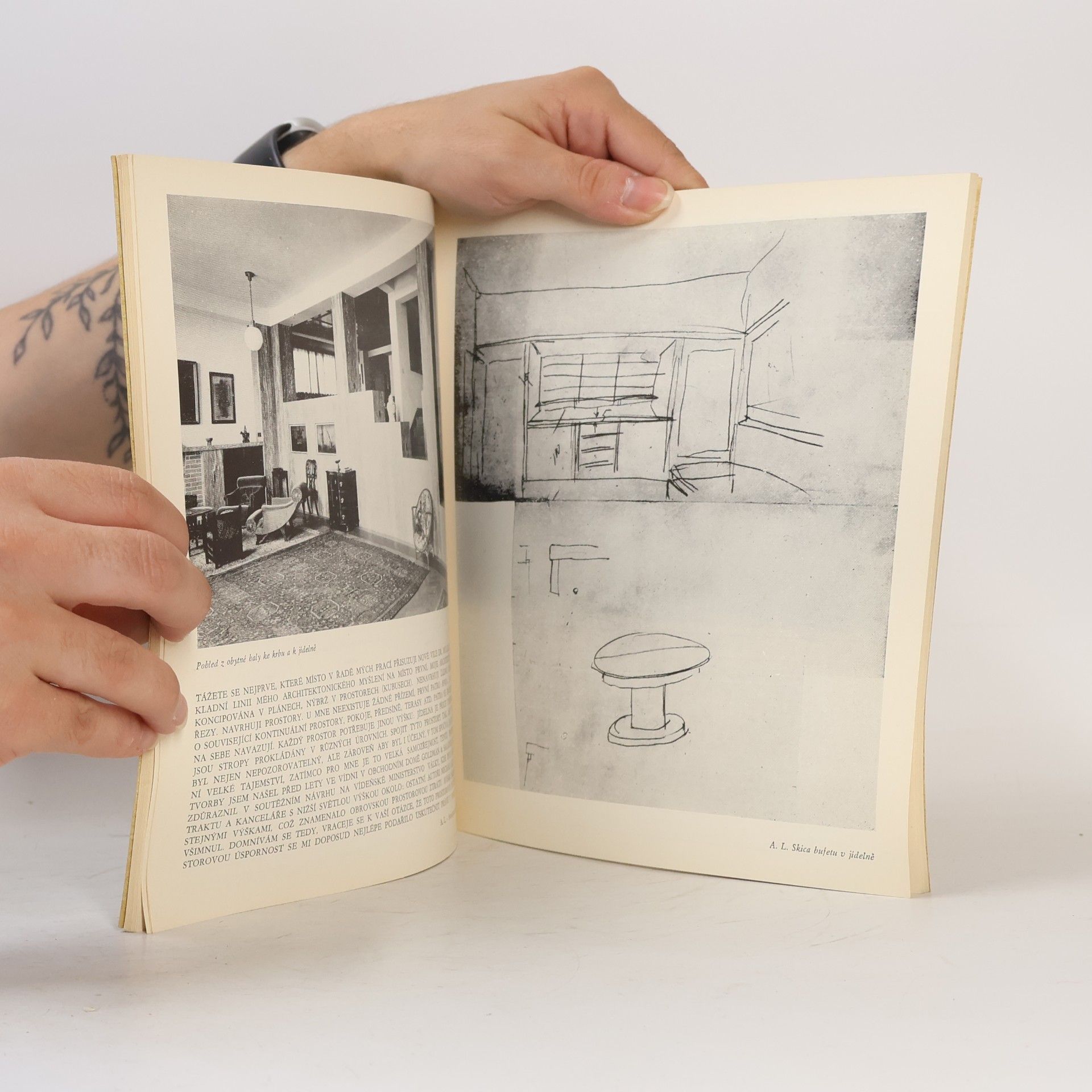 Vladímír Šlapejta Adolf Loos a česká architektura