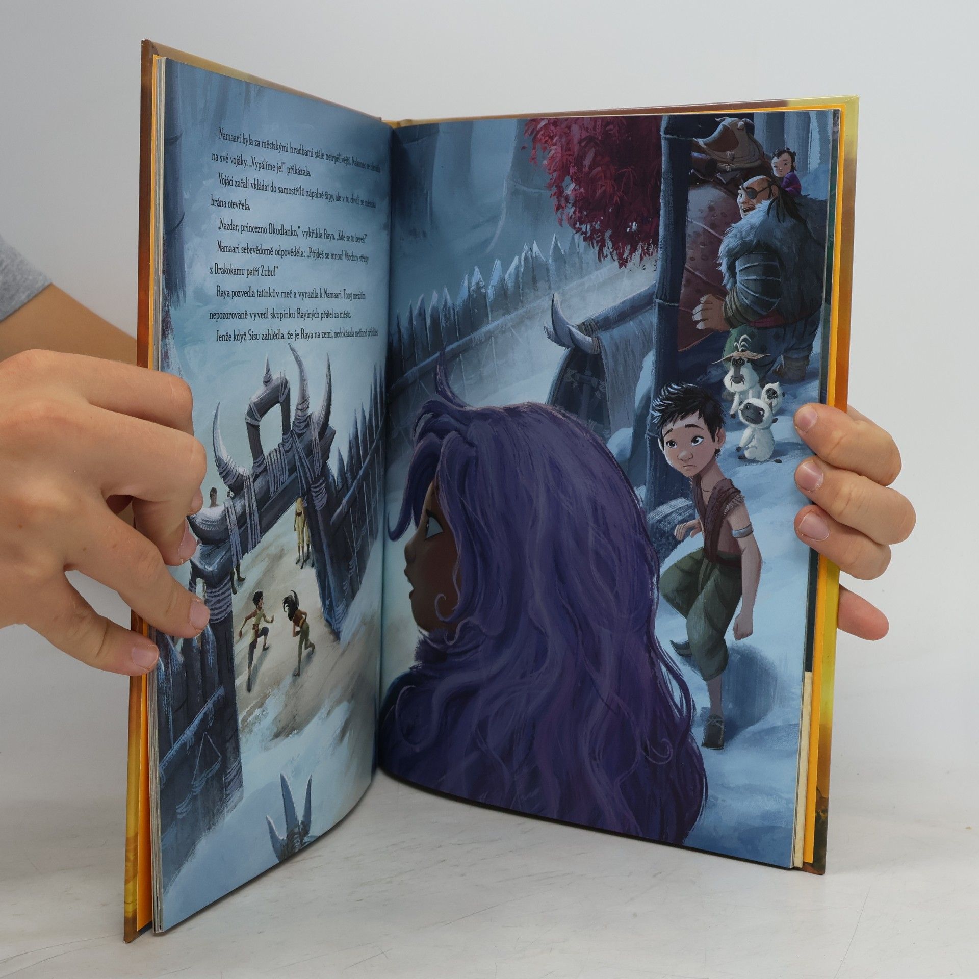 Walt Disney Raya a drak
