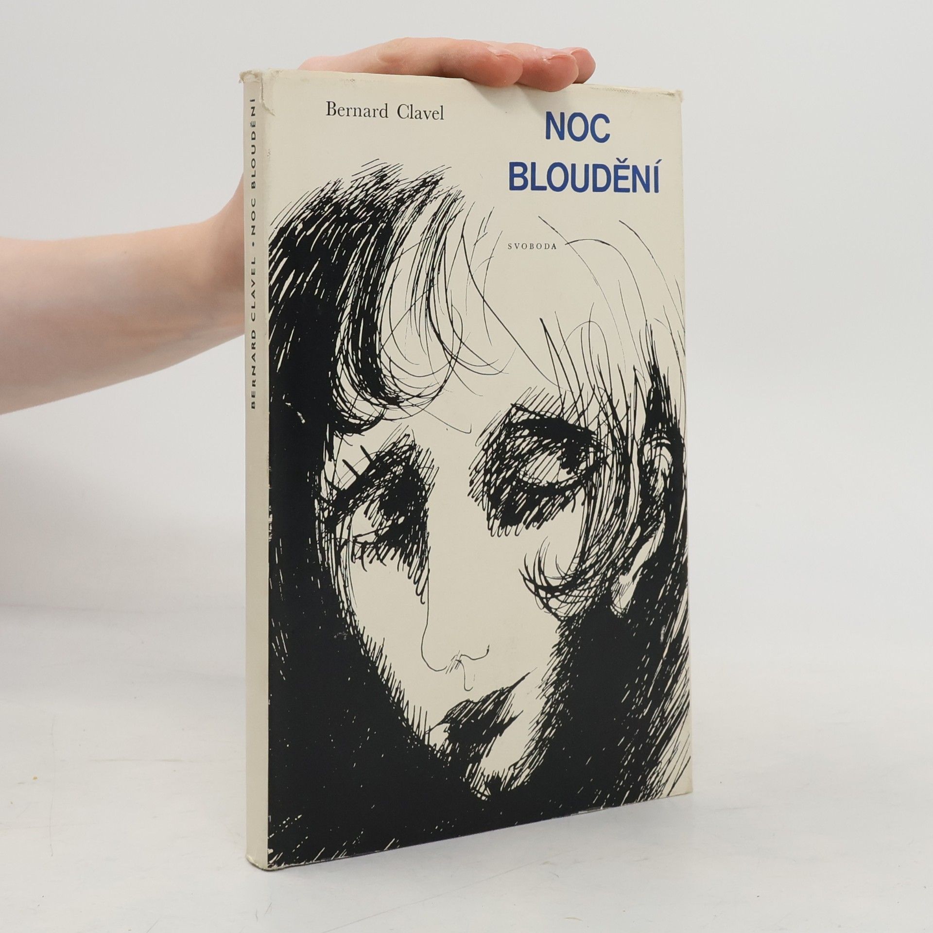 Marie Šupová Noc bloudění