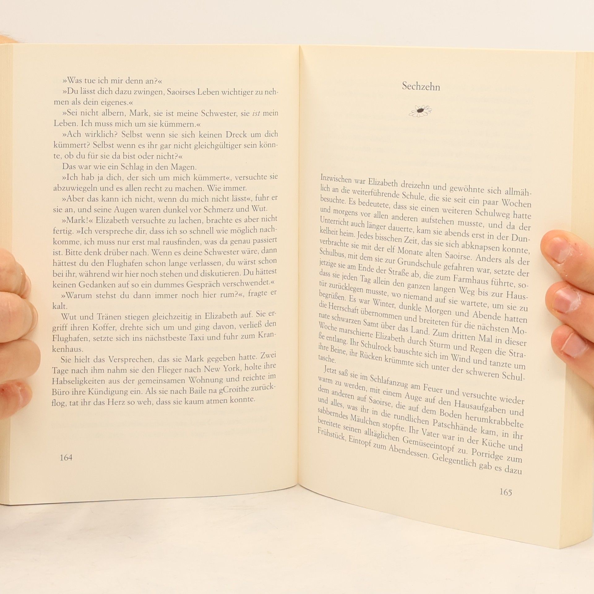 Cecelia Ahern Zwischen Himmel und Liebe