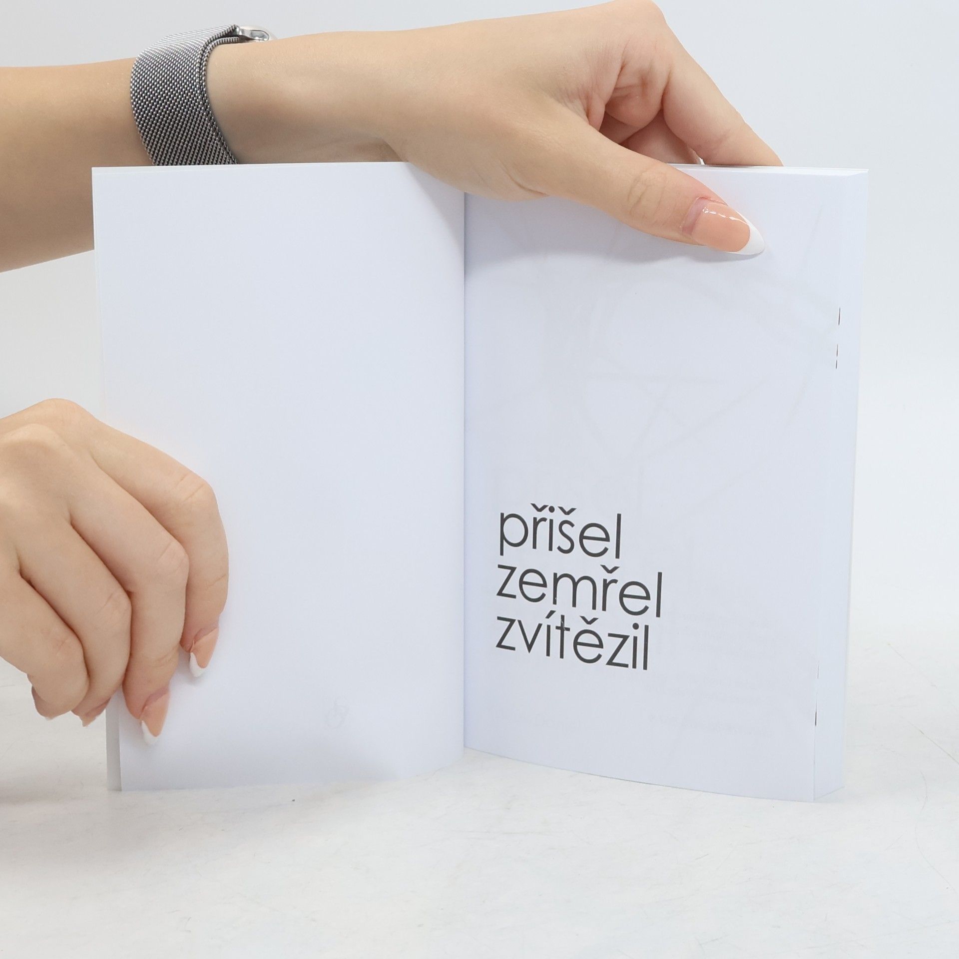 Radek Daniel Přišel, zemřel, zvítězil