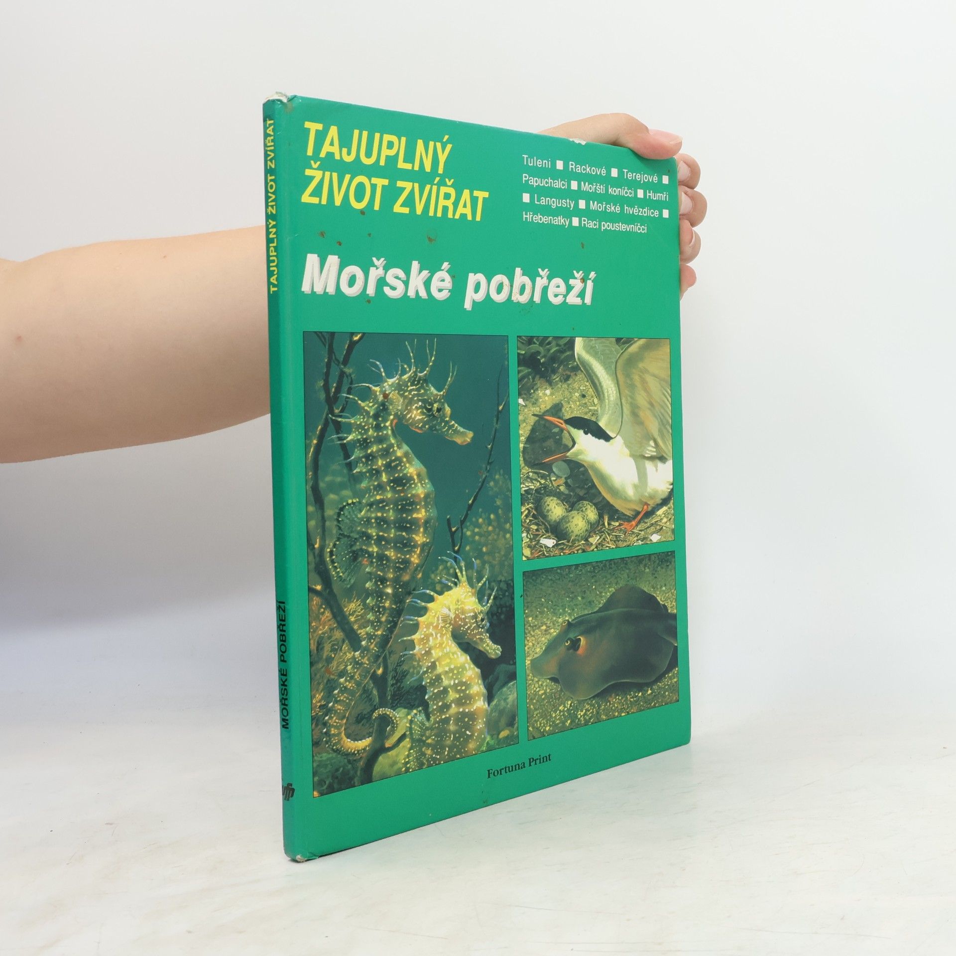 Charles Roux Tajuplný život zvířat: Mořské pobřeží
