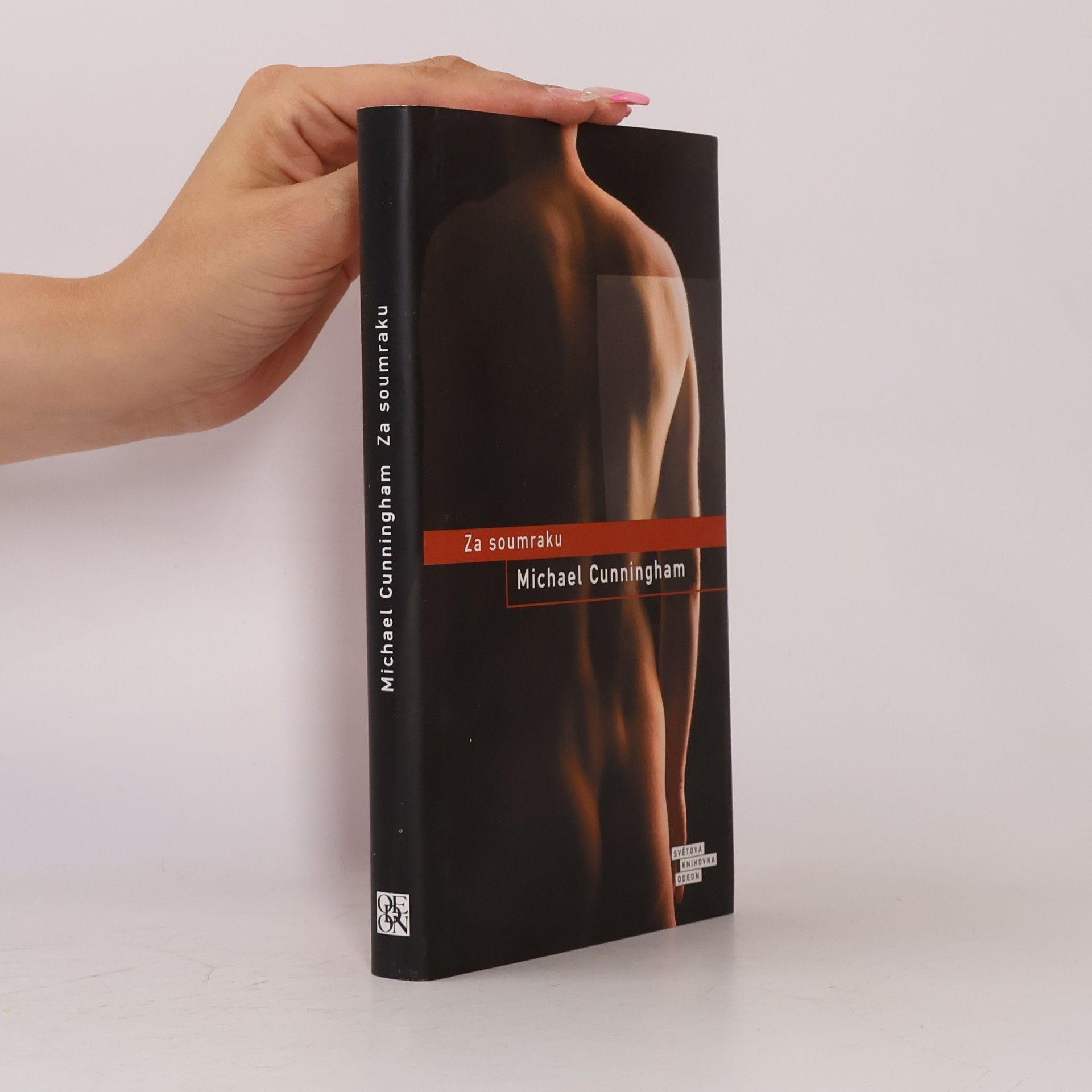 Michael Cunningham Za soumraku