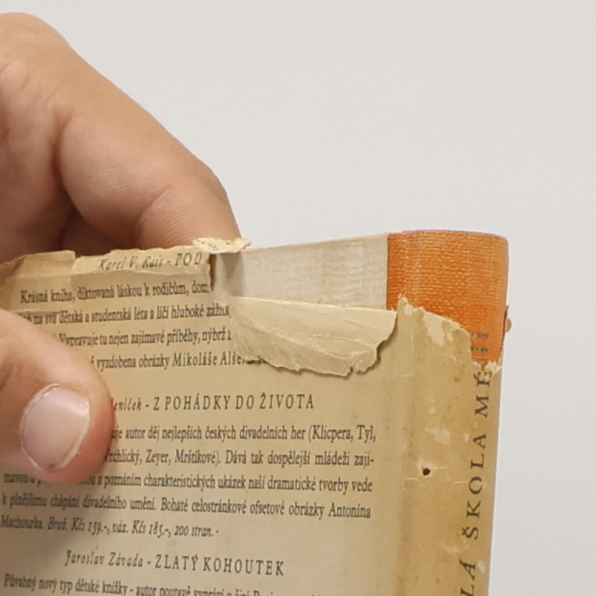Karolina Světlá Škola mé štěstí