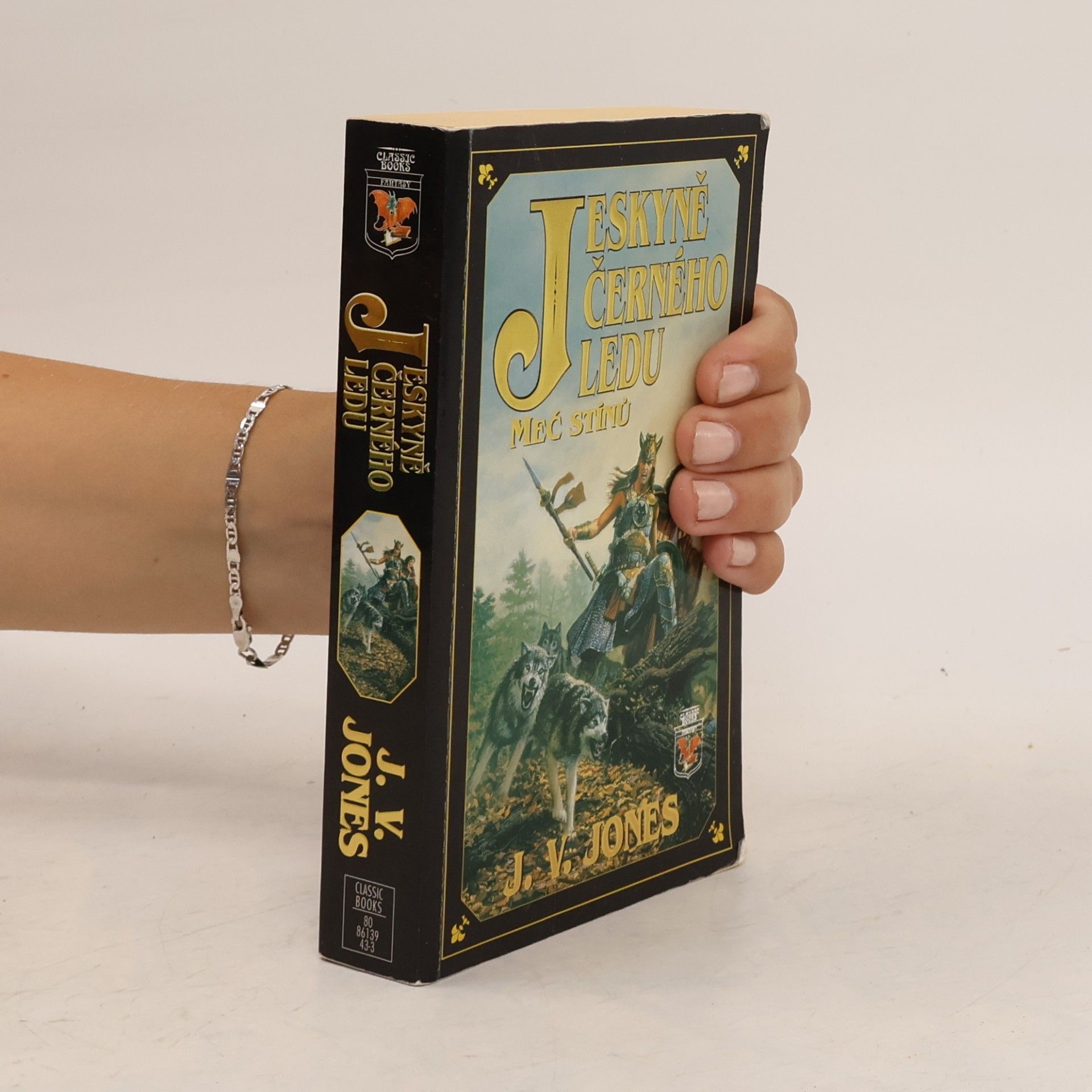 Julie V. Jones Jeskyně černého ledu I: Meč stínů
