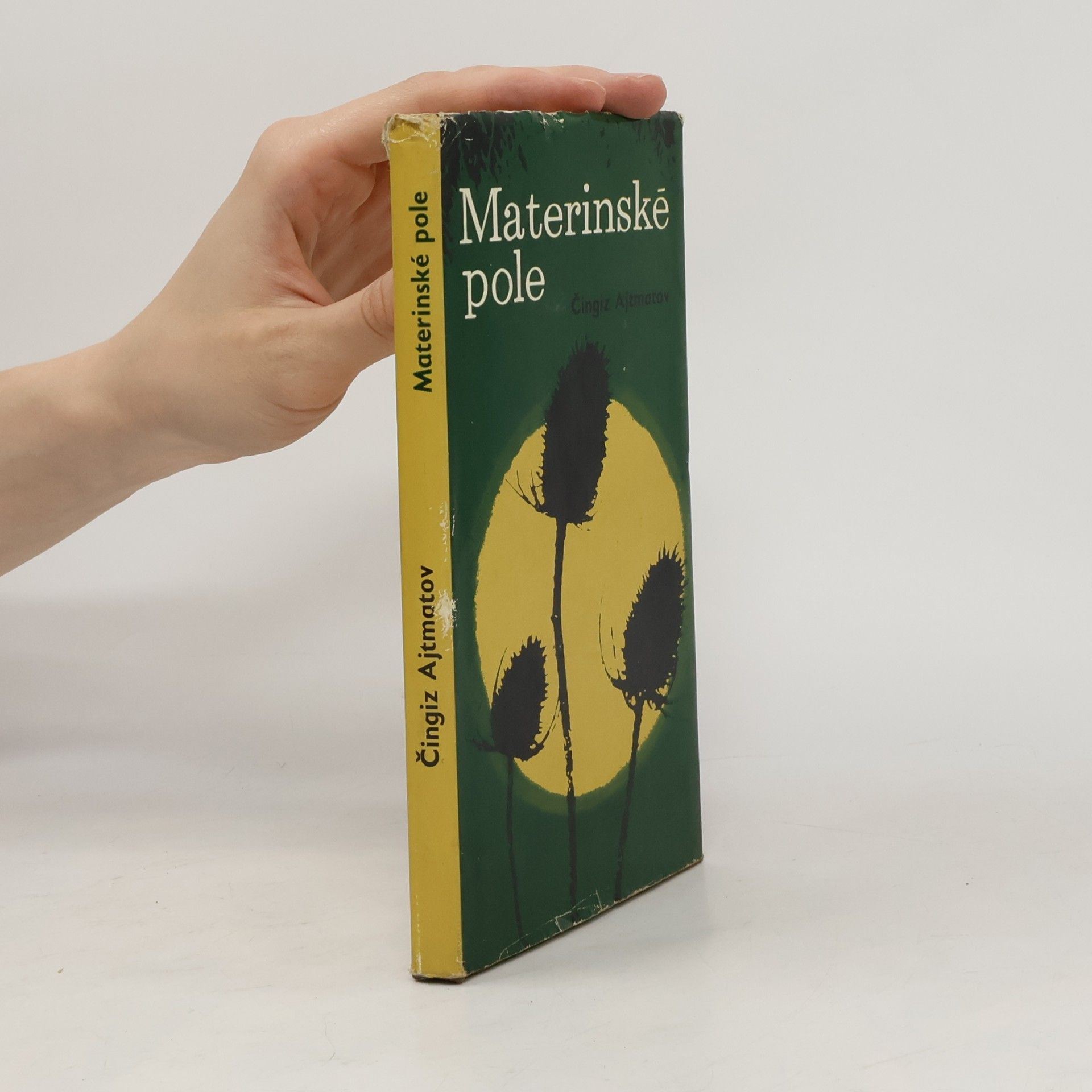 Čingiz Ajtmatov Materinské pole