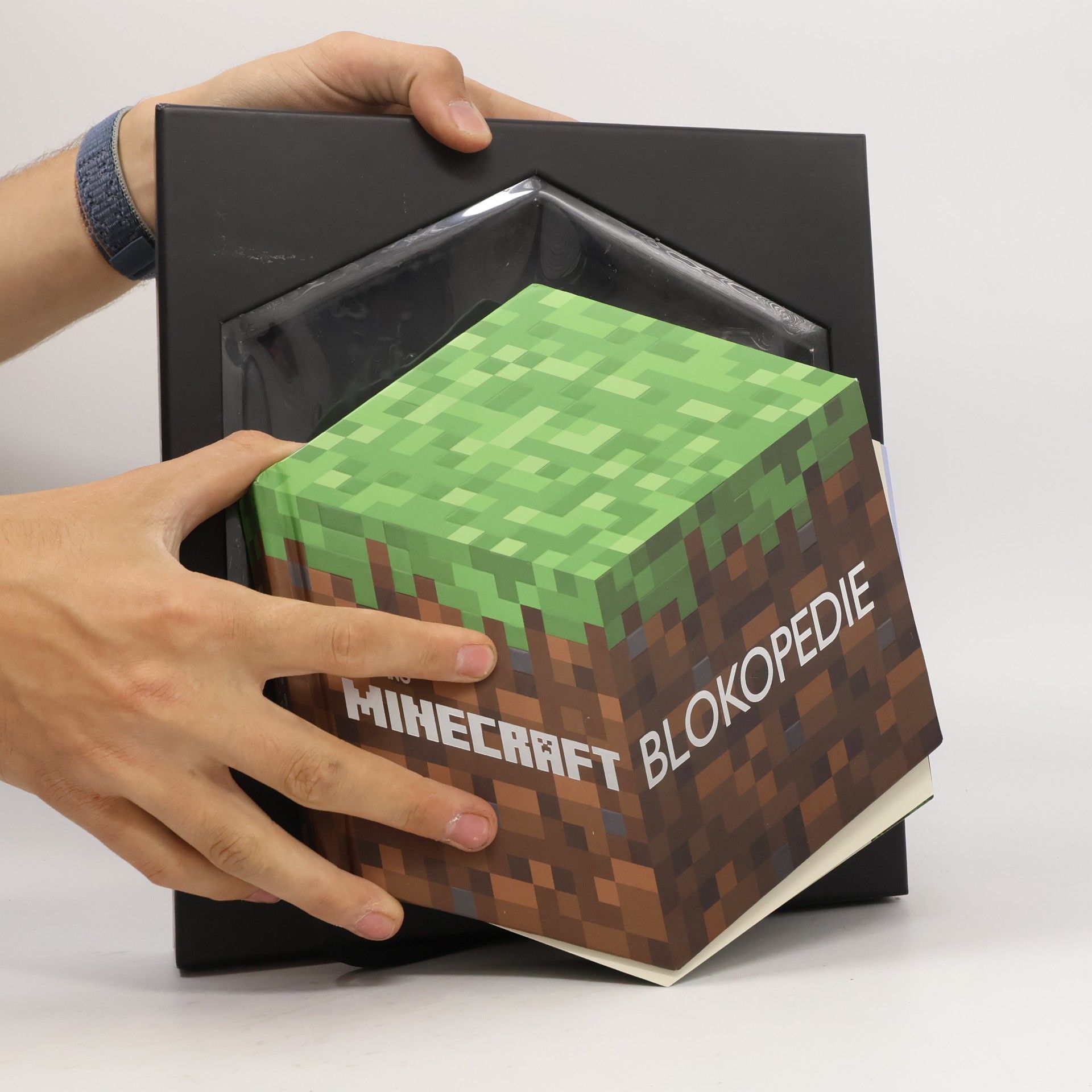 Mojang Minecraft Blokopedie