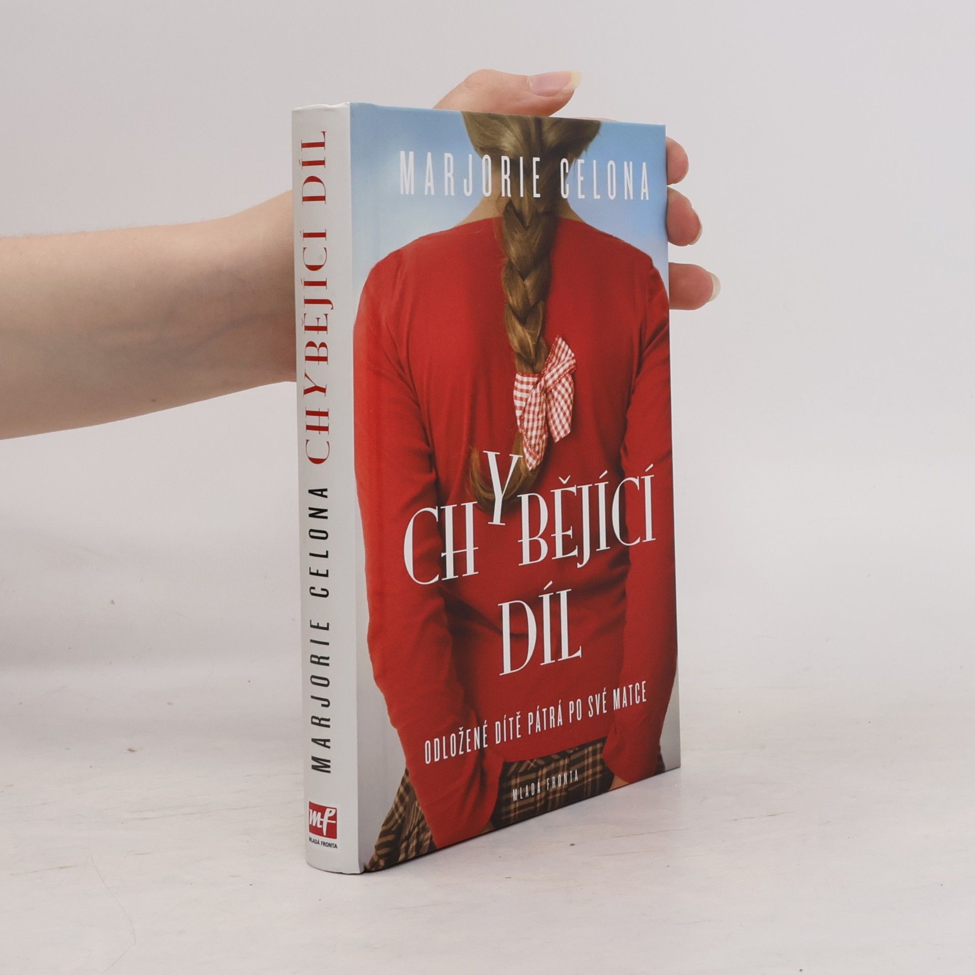 Marjorie Celona Chybějící díl