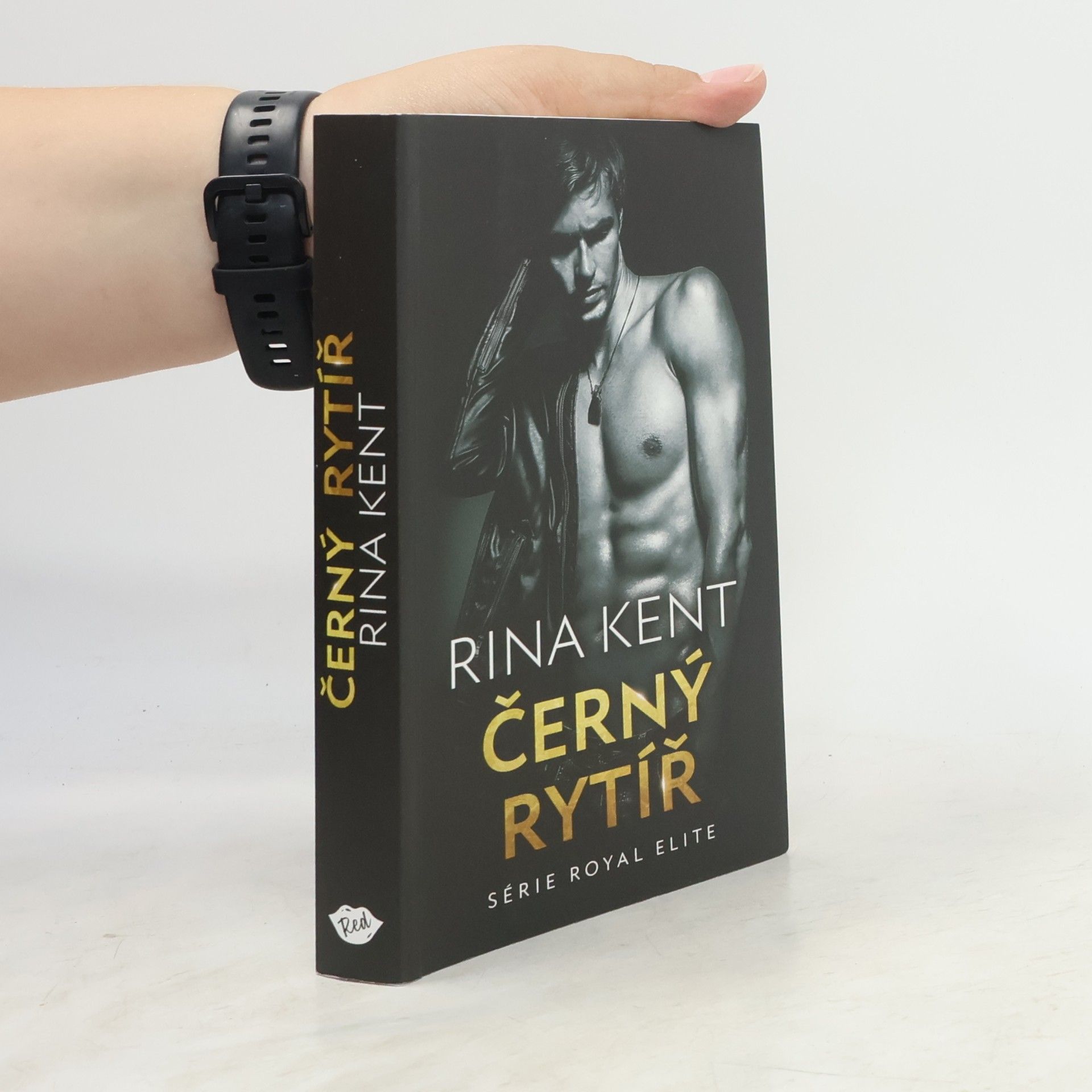 Rina Kent Černý rytíř