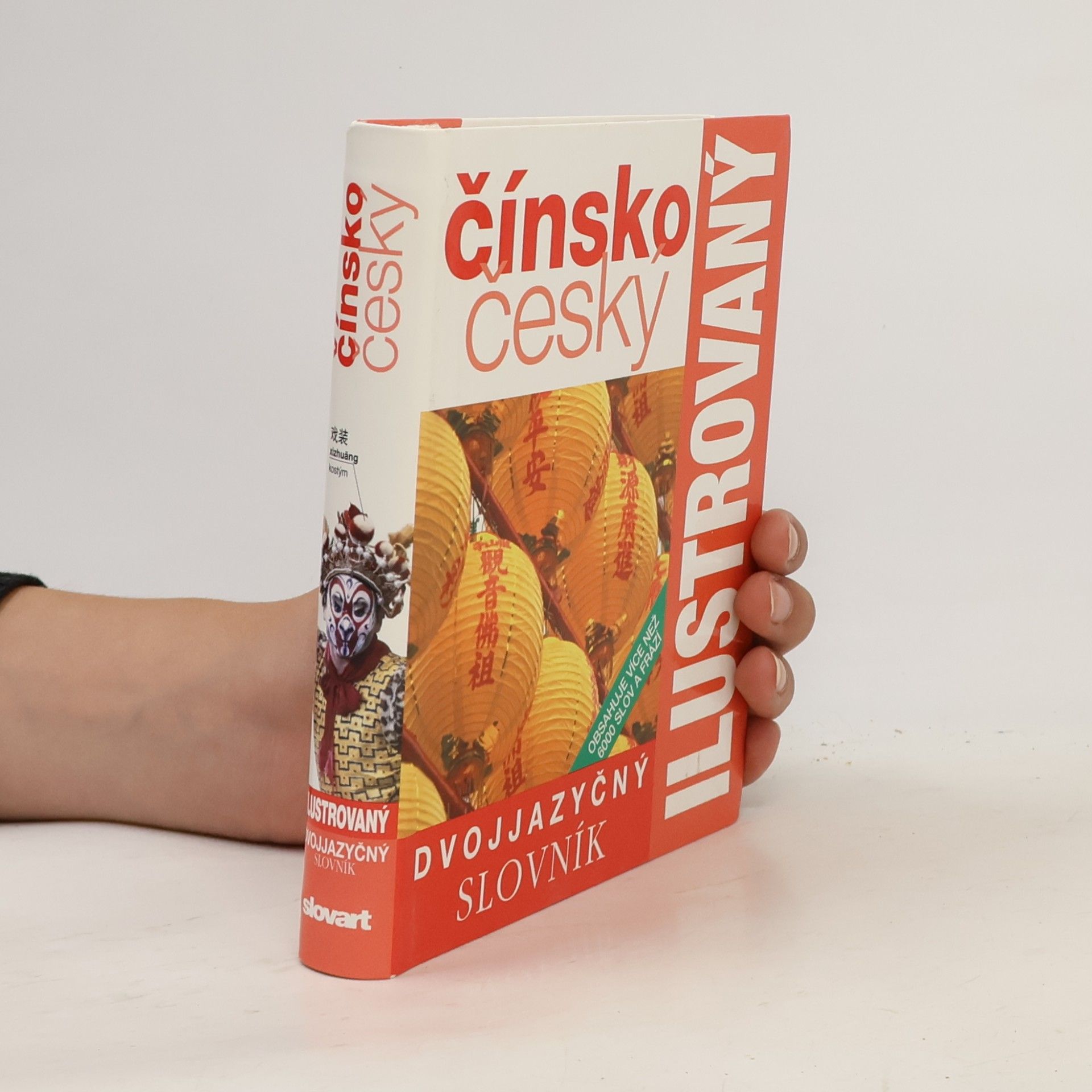 Autorenkollektiv Dvojjazyčný ilustrovaný slovník. Čínsko-český