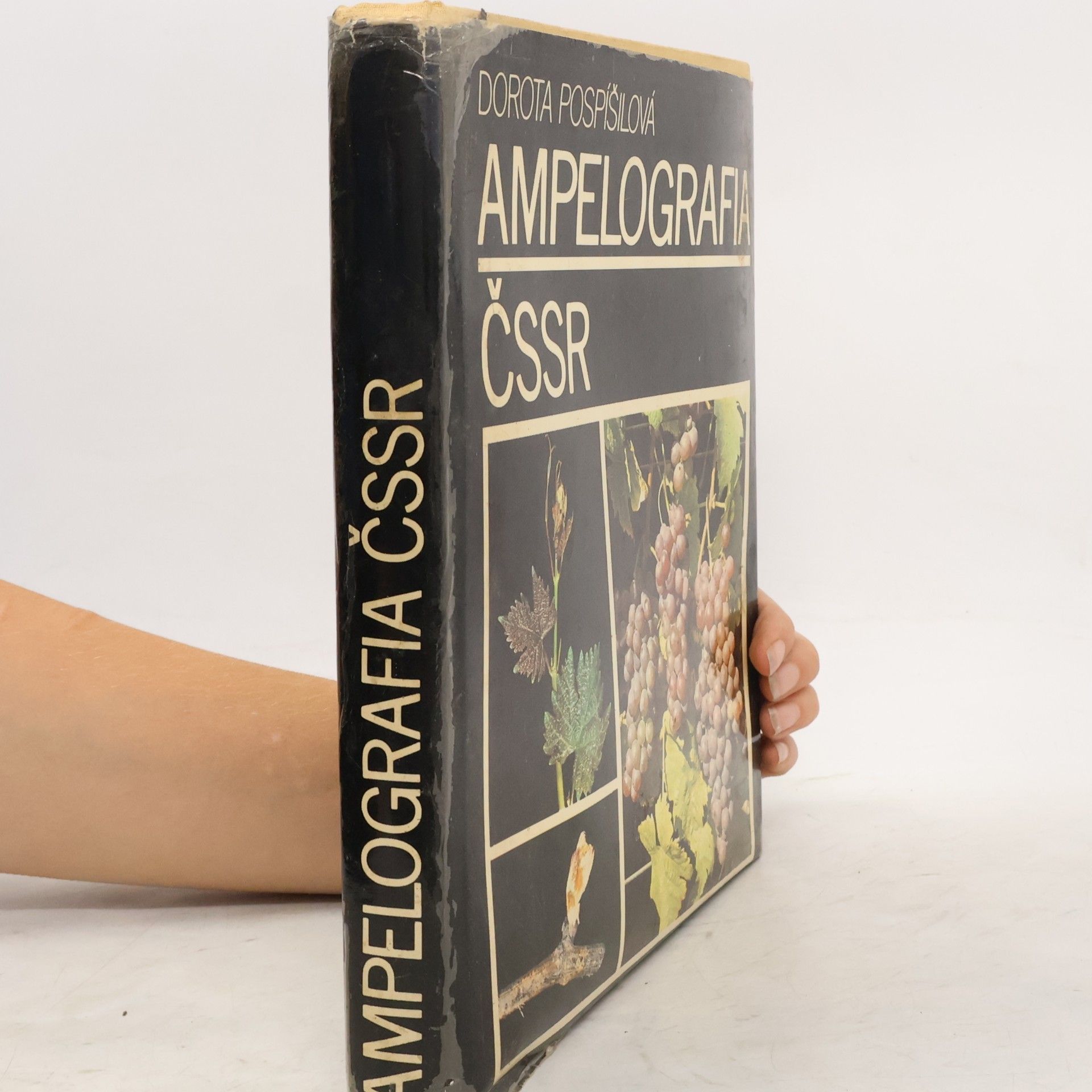 Dorota Pospíšilová Ampelografia ČSSR