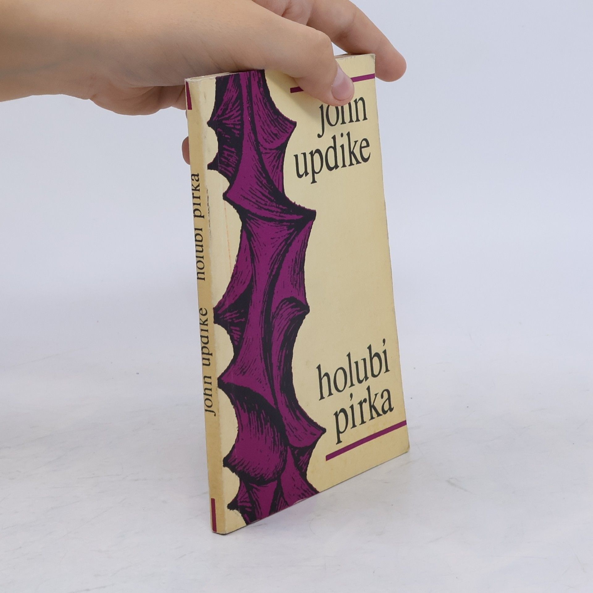 John Updike Holubí pírka
