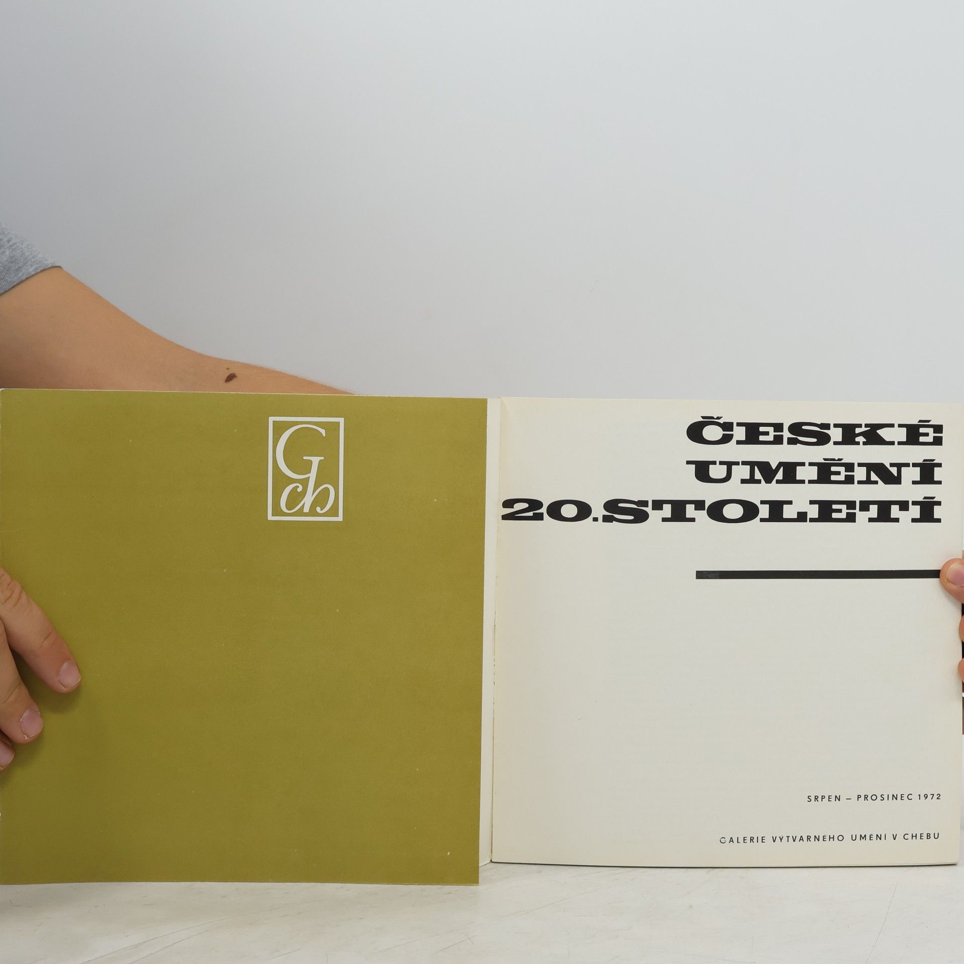 Kolektiv autorů České umění 20. století