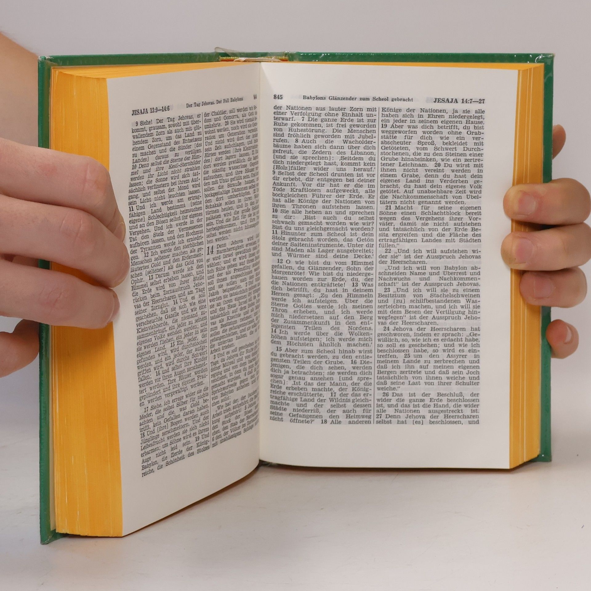 Autores varios Neue-Welt-Übersetzung der Heiligen Schrift