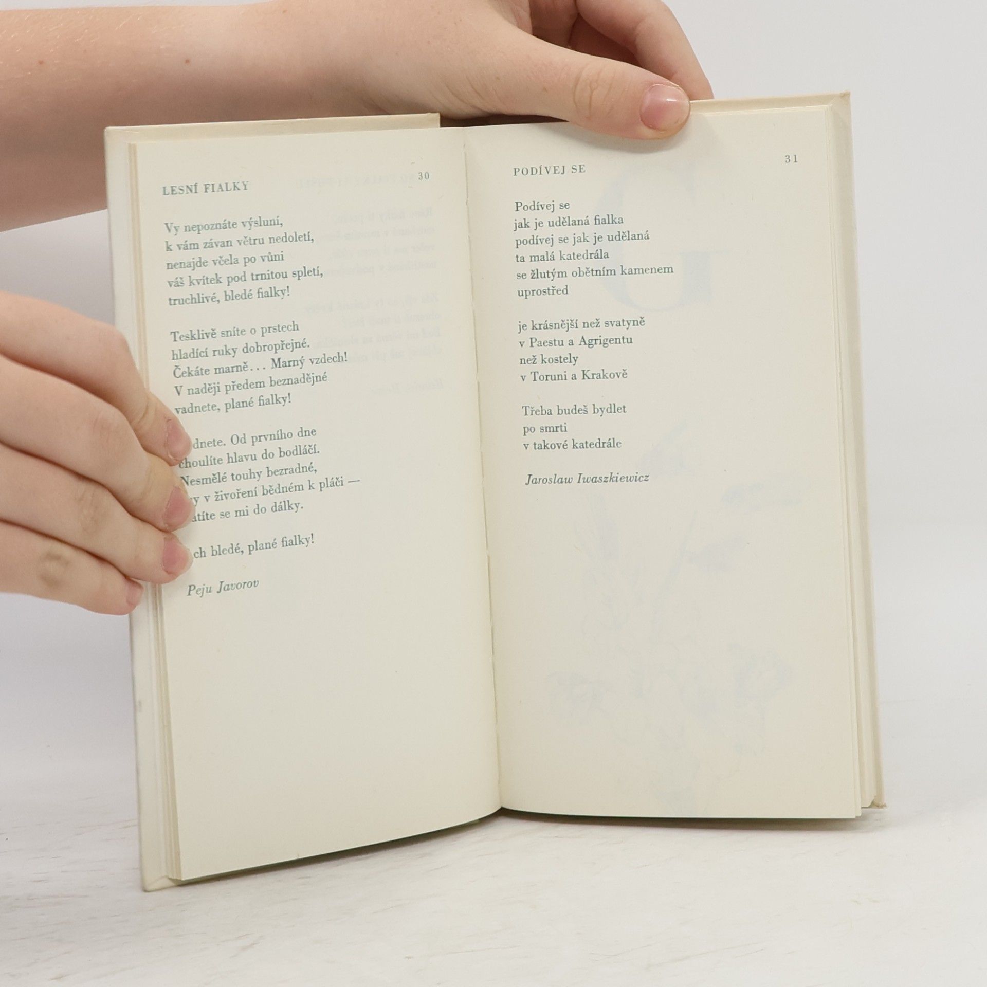 Rudolf Matys Abeceda květů. Stolístek z české a světové poezie