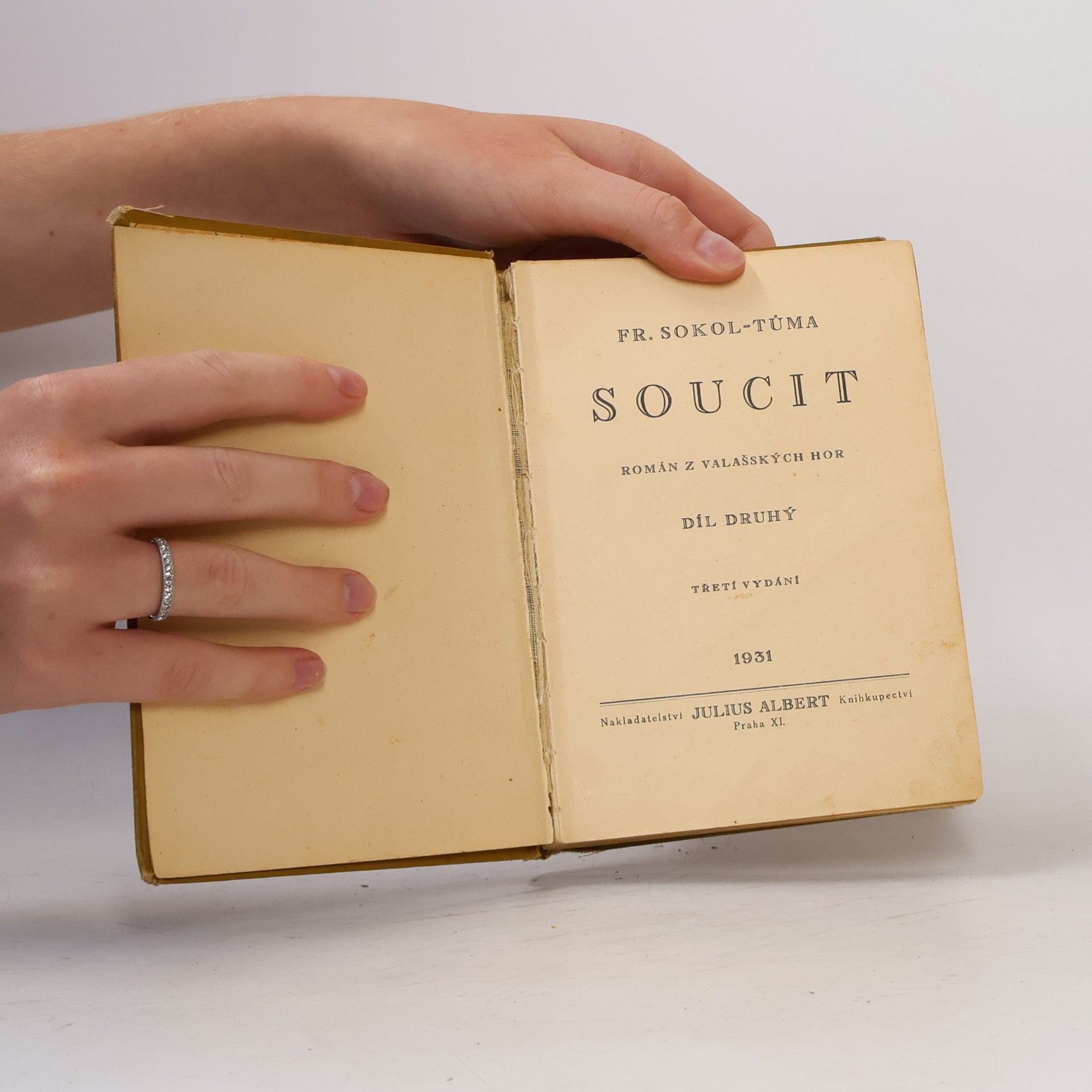 František Sokol Tůma Soucit II