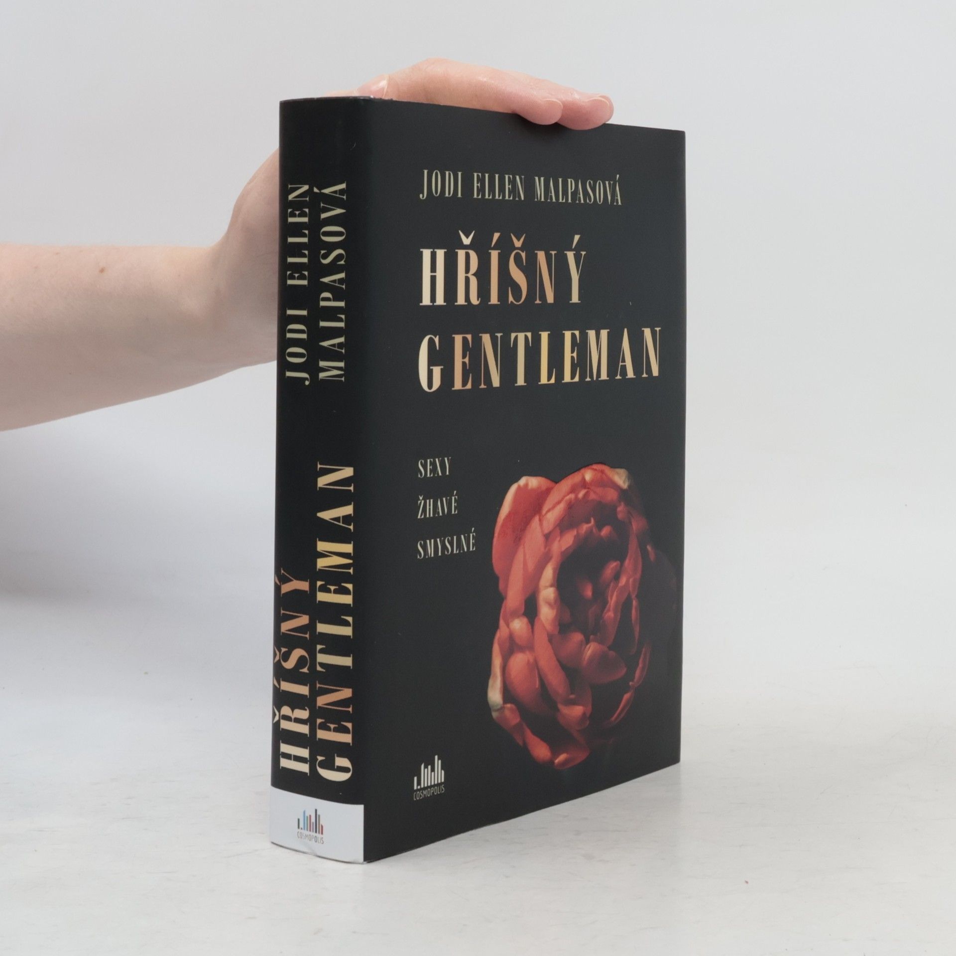 Jodi Ellen Malpas Hříšný gentleman