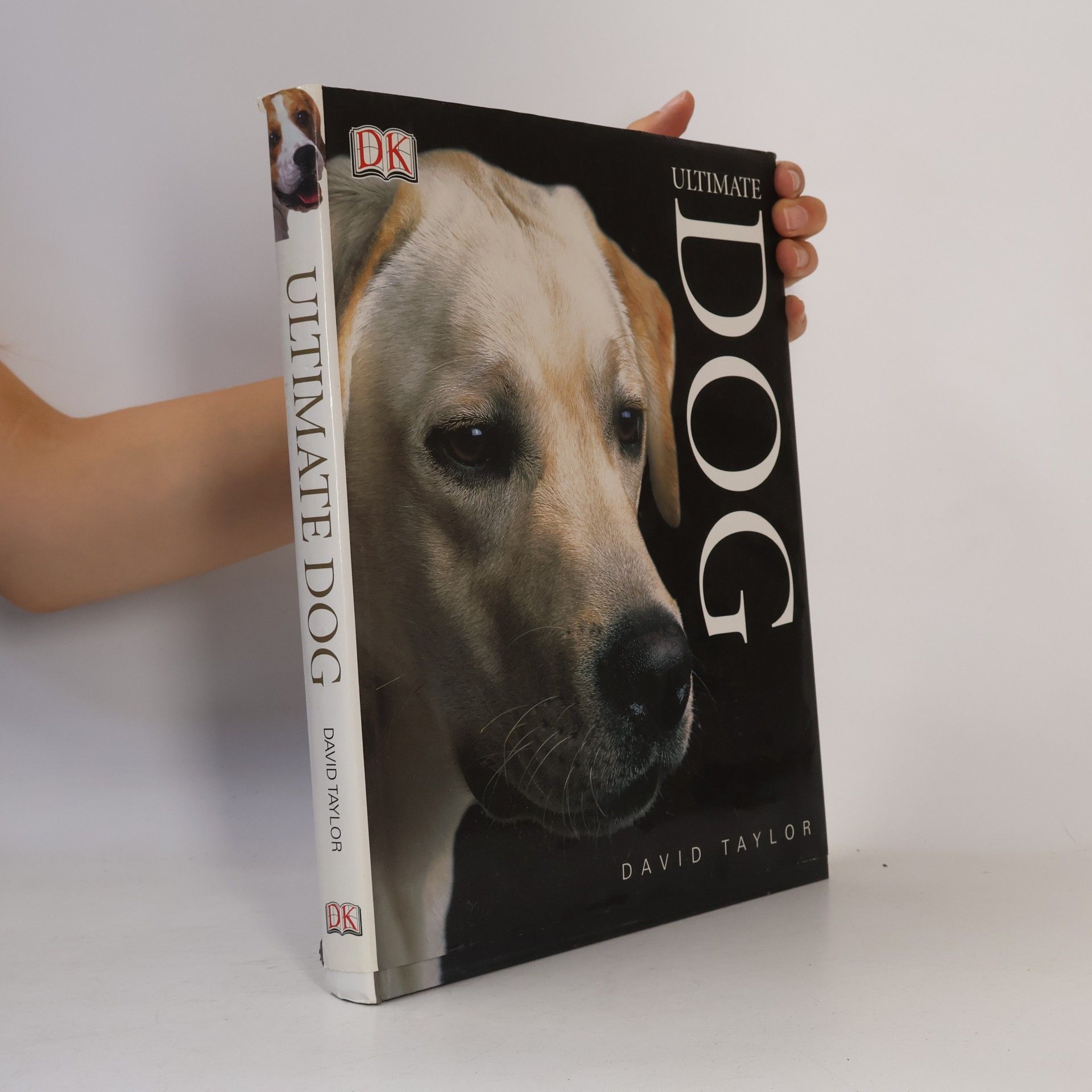 David Conrad Taylor Ultimate Dog