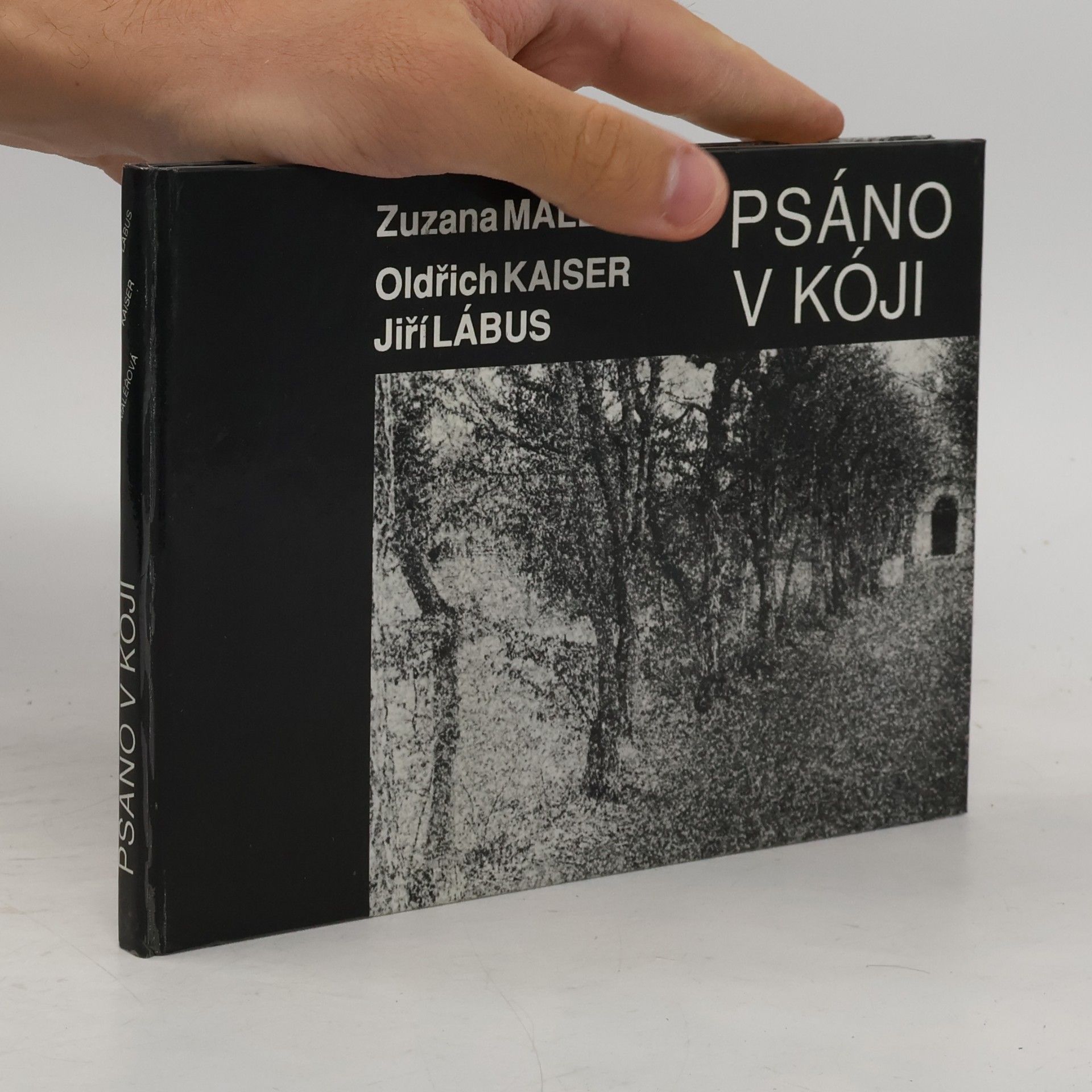 Psáno v kóji