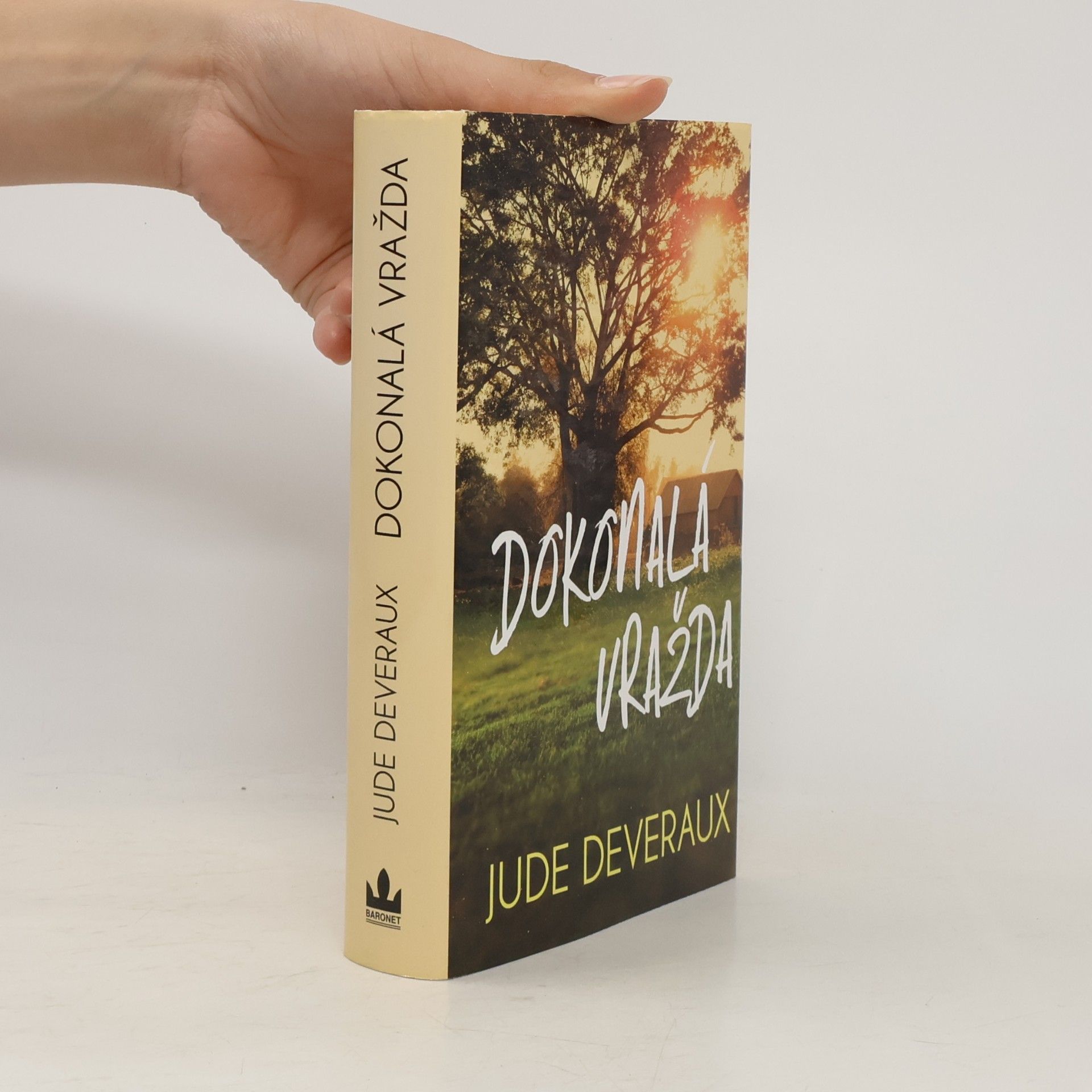 Jude Deveraux Dokonalá vražda