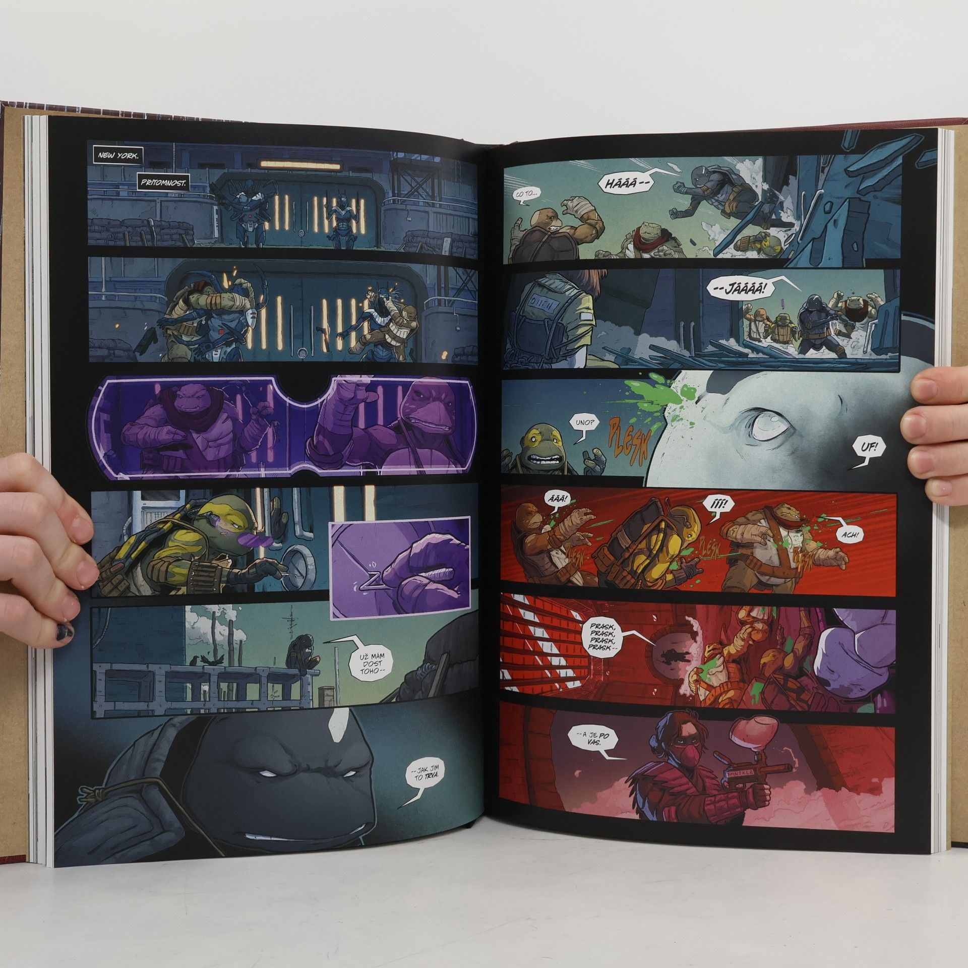Kevin B. Eastman Želvy ninja: Poslední rónin – Ztracená léta