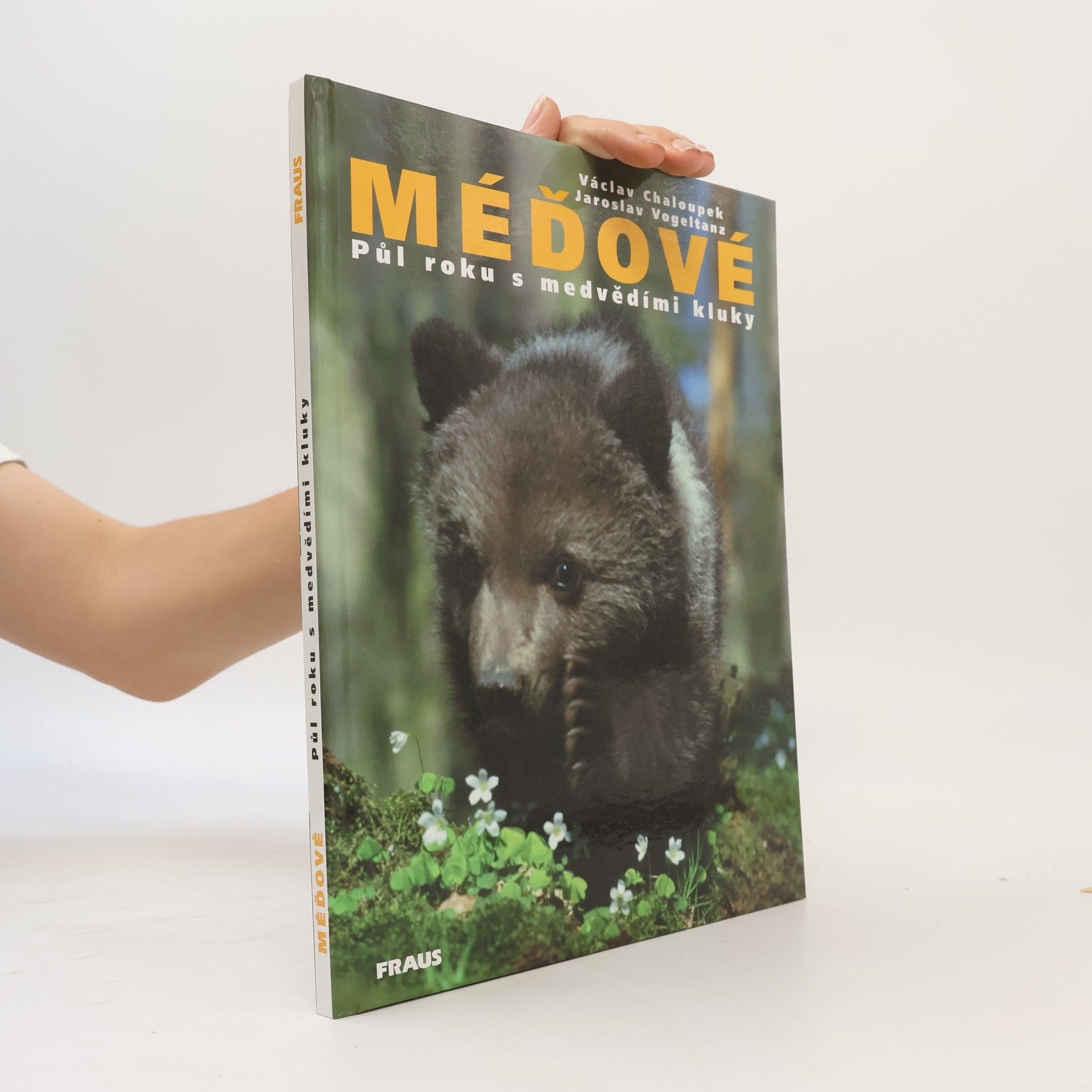Václav Chaloupek Méďové. Půl roku s medvědími kluky