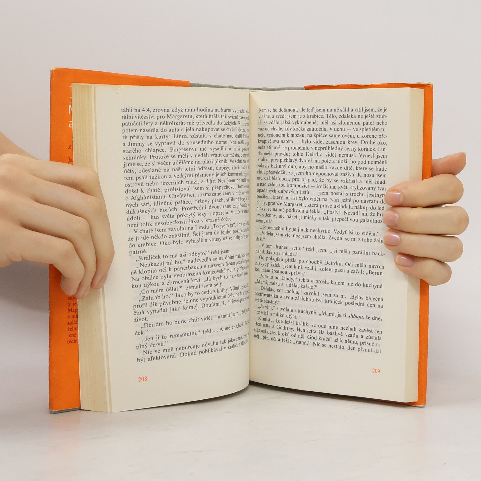 John Updike Milenci a manželé