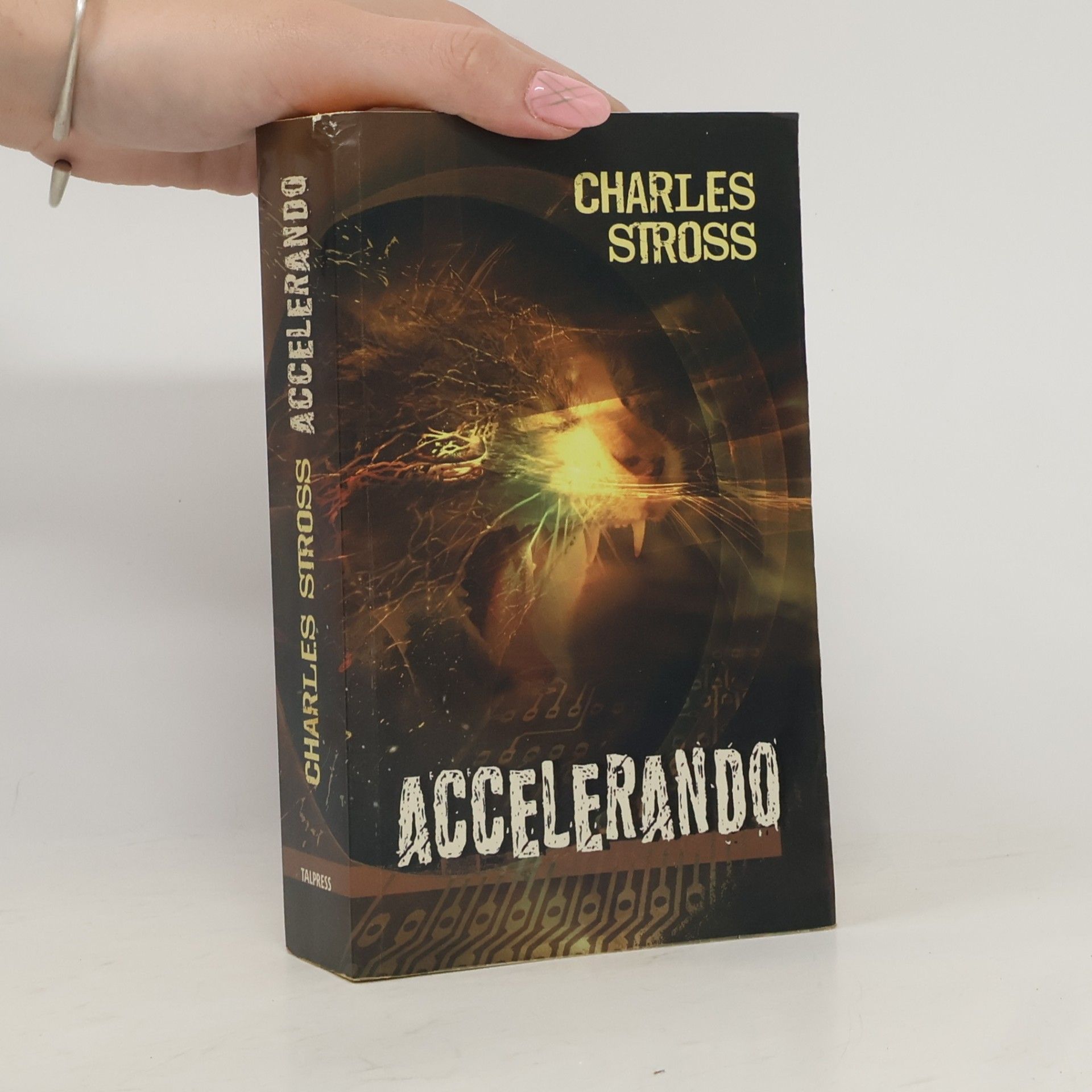 Charles Stross Accelerando