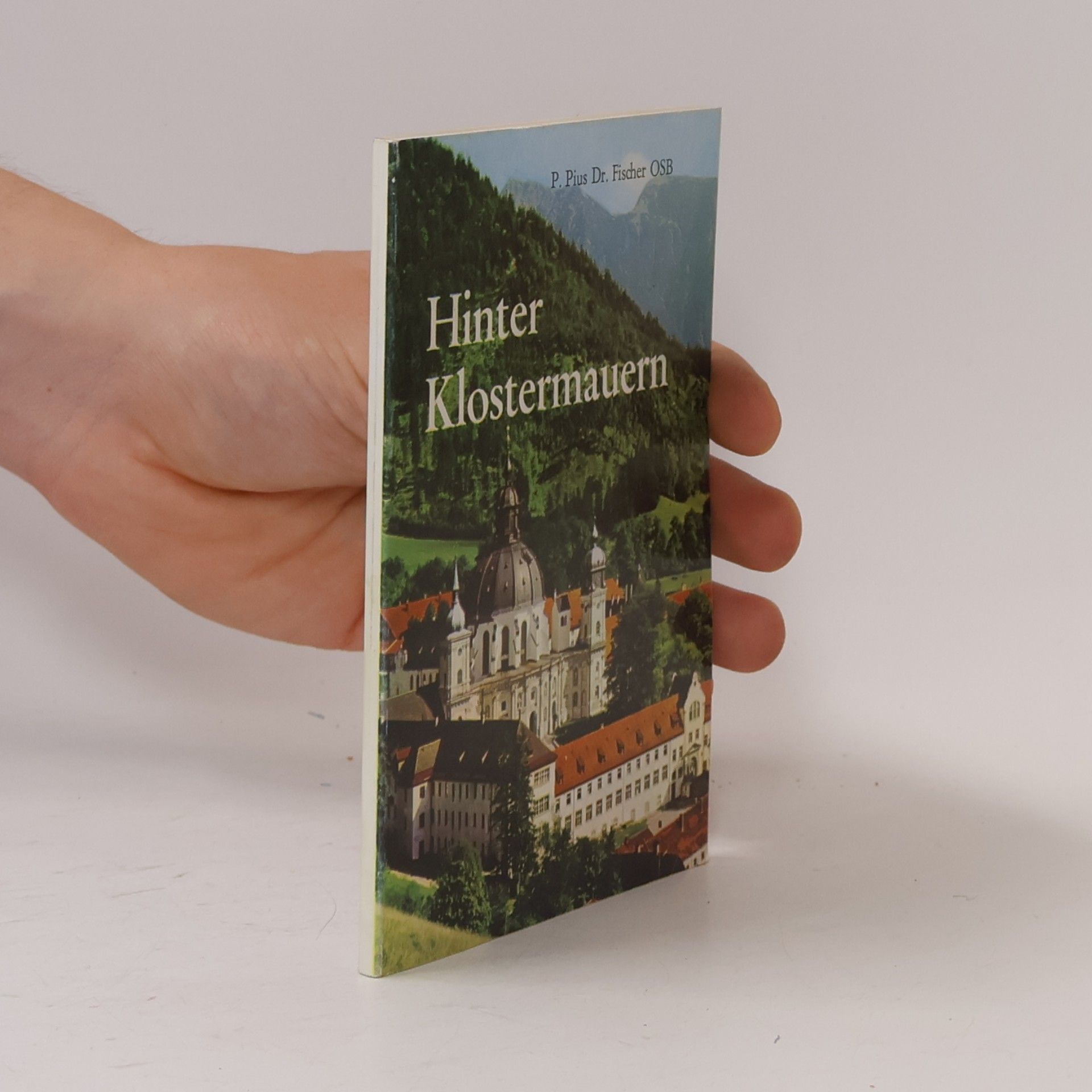 Pius Fischer Hinter Klostermauern