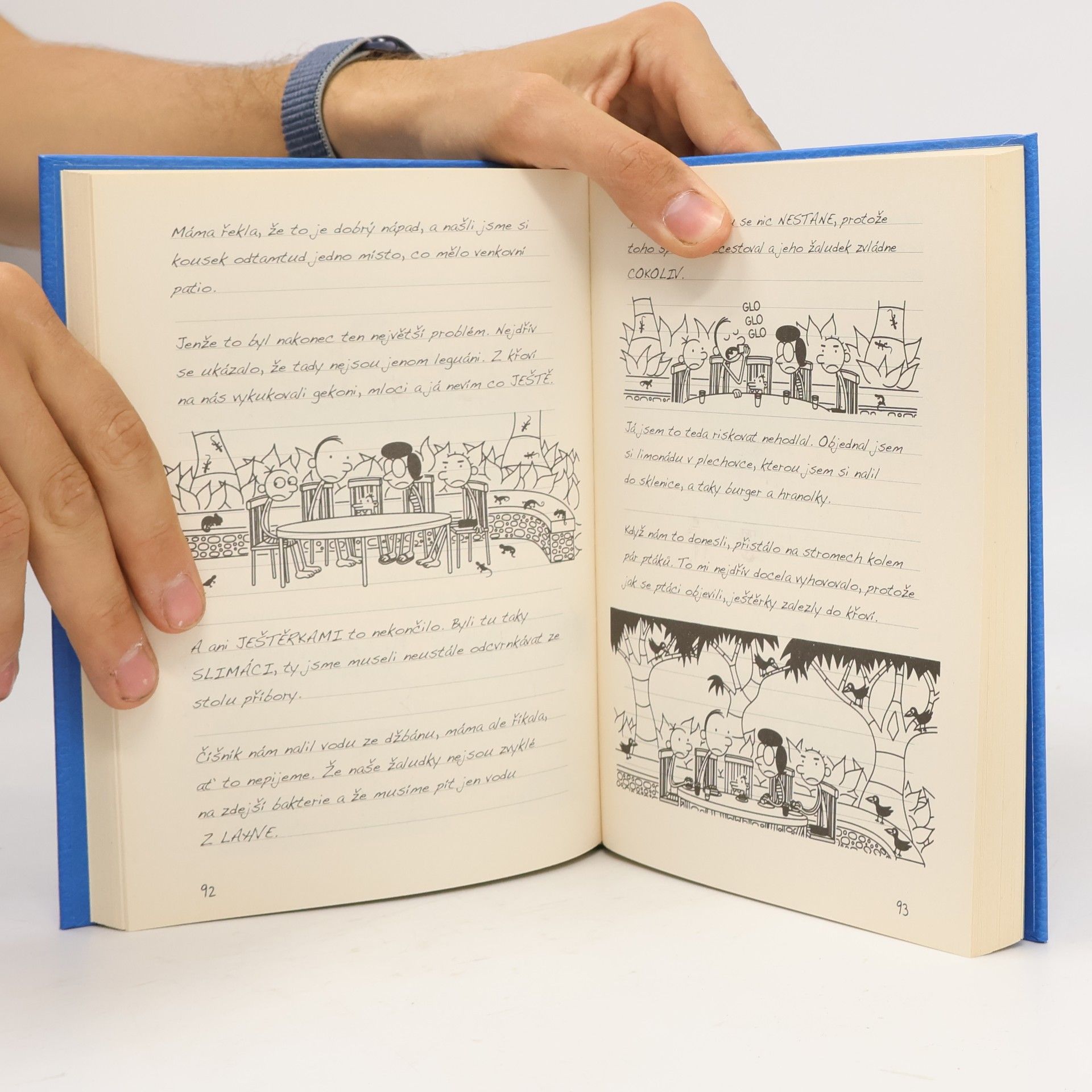 Jeff Kinney Deník malého poseroutky 12. Výprava za teplem