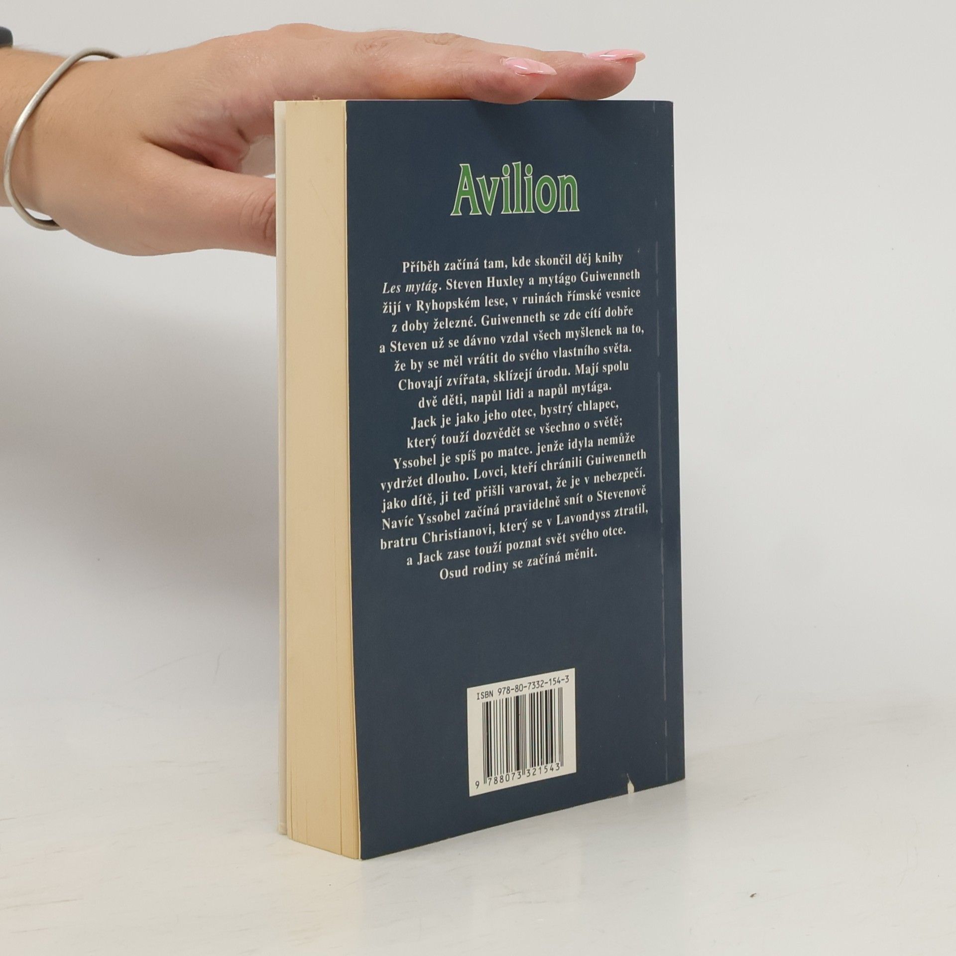 Robert Holdstock Avilion