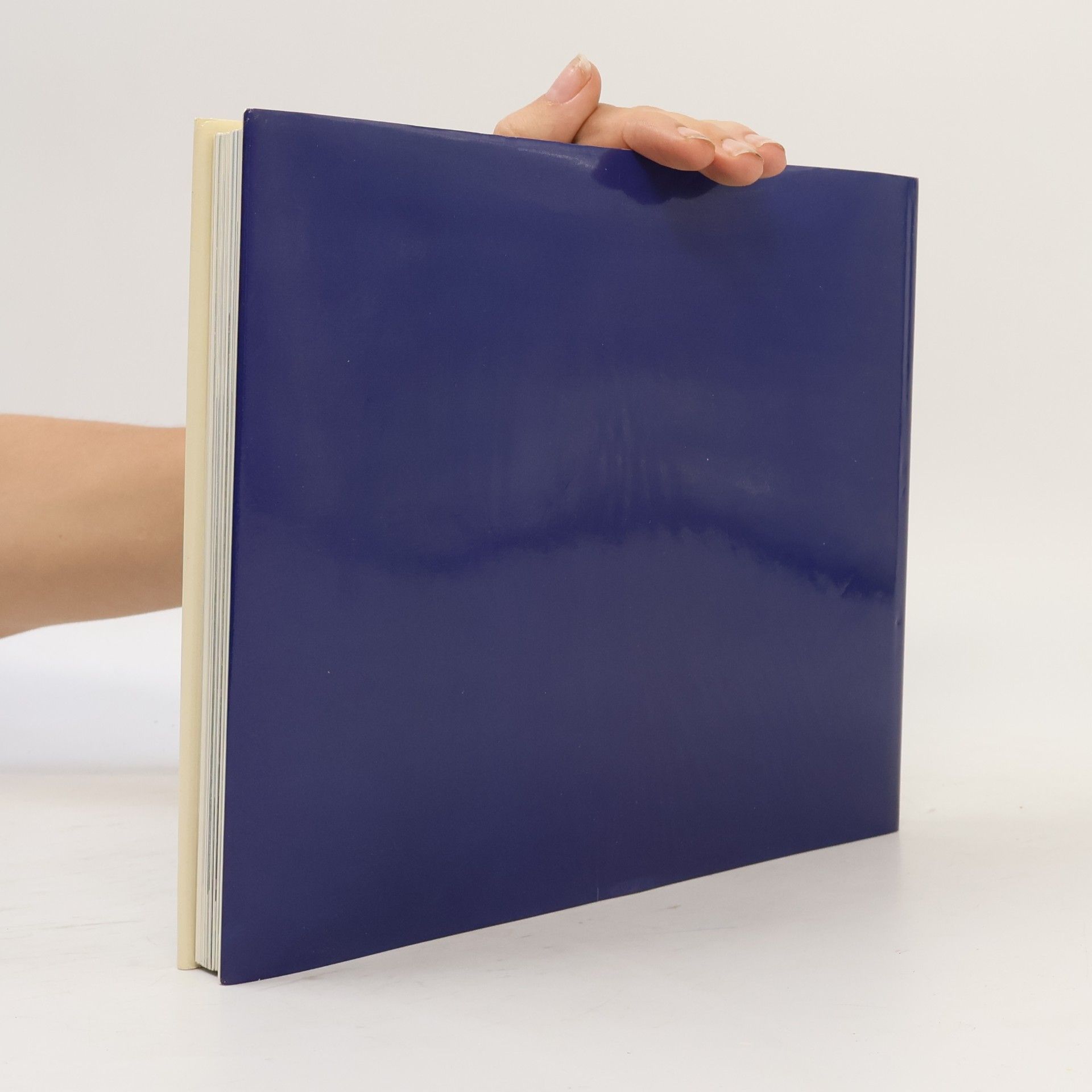 Autores varios Schweiz. Suisse. Switzerland