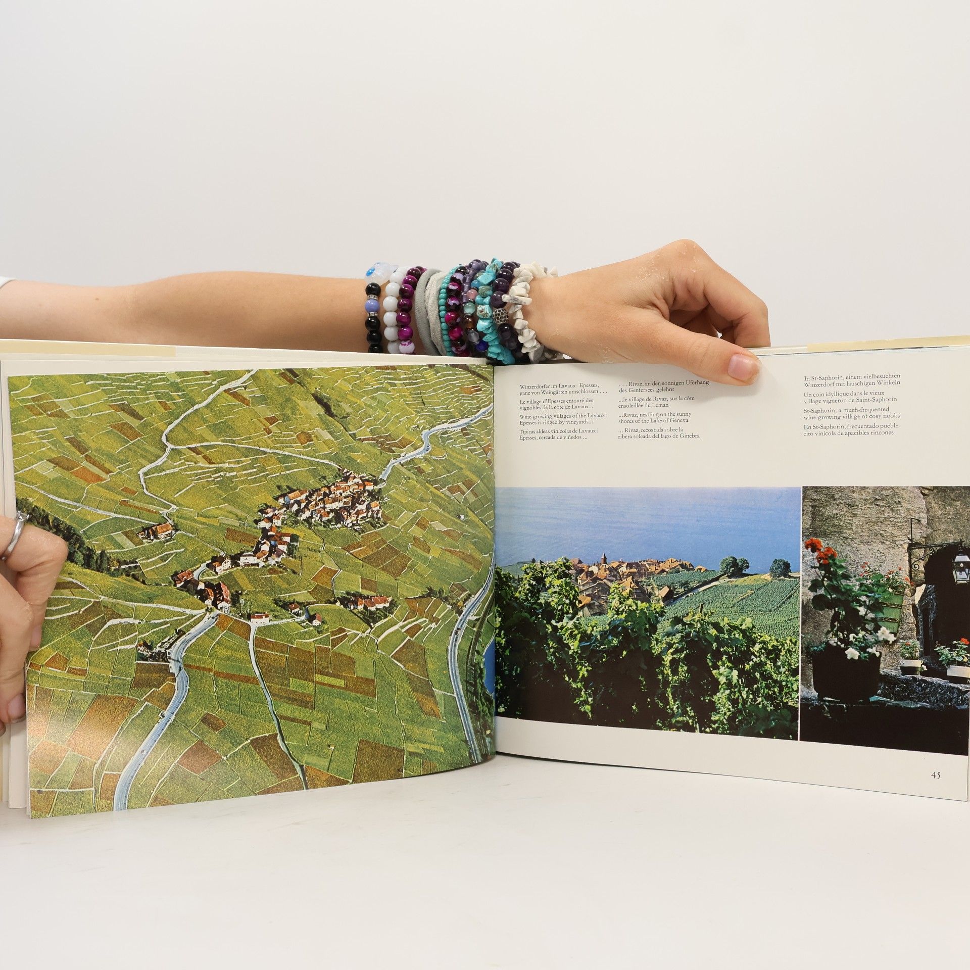 Autores varios Schweiz. Suisse. Switzerland