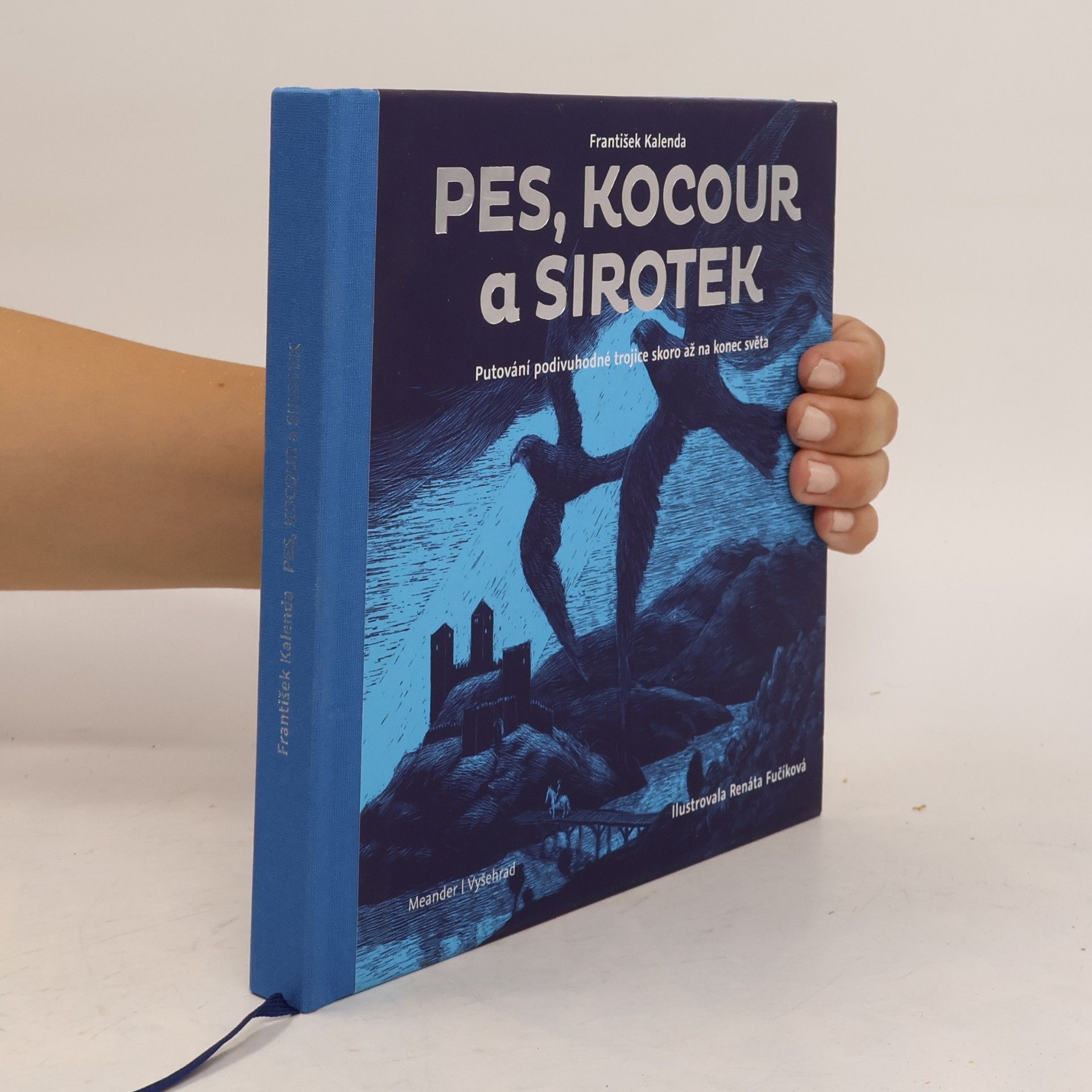 Renáta Fučíková Pes, kocour a sirotek