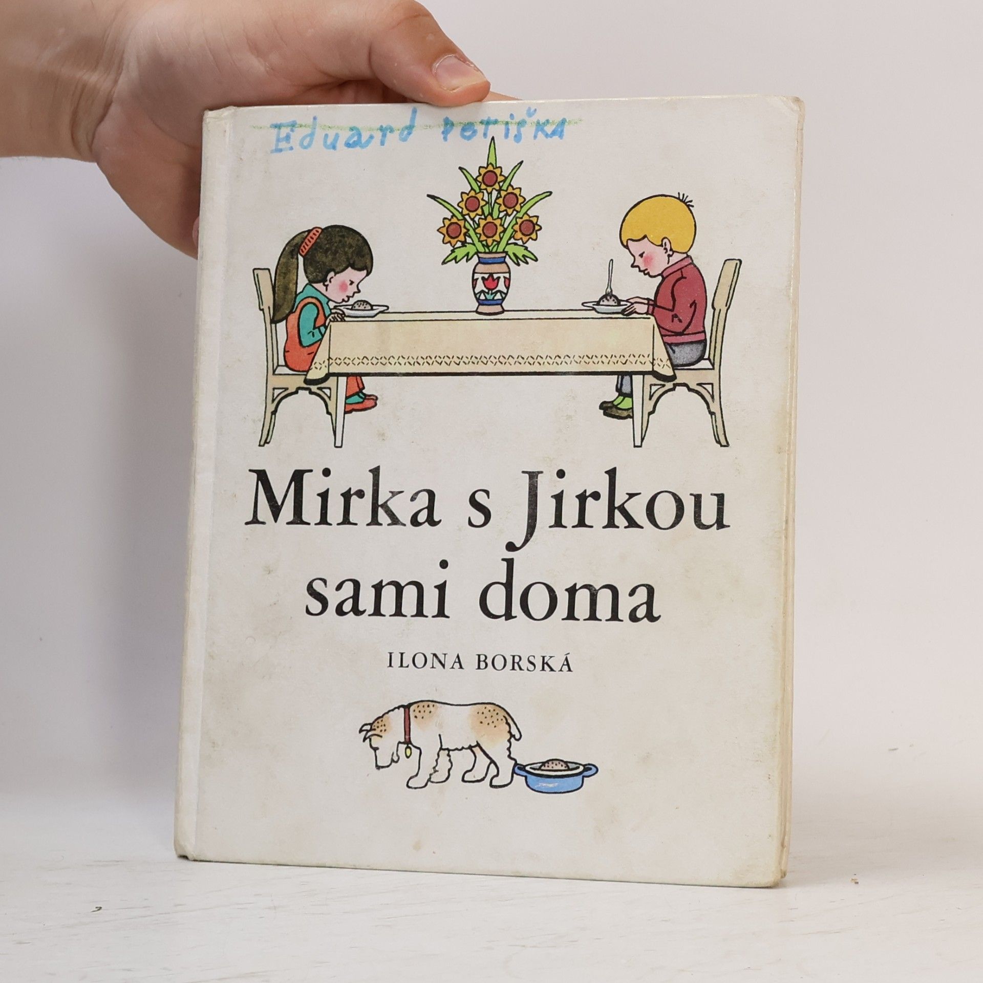 Ilona Borská Mirka s Jirkou sami doma