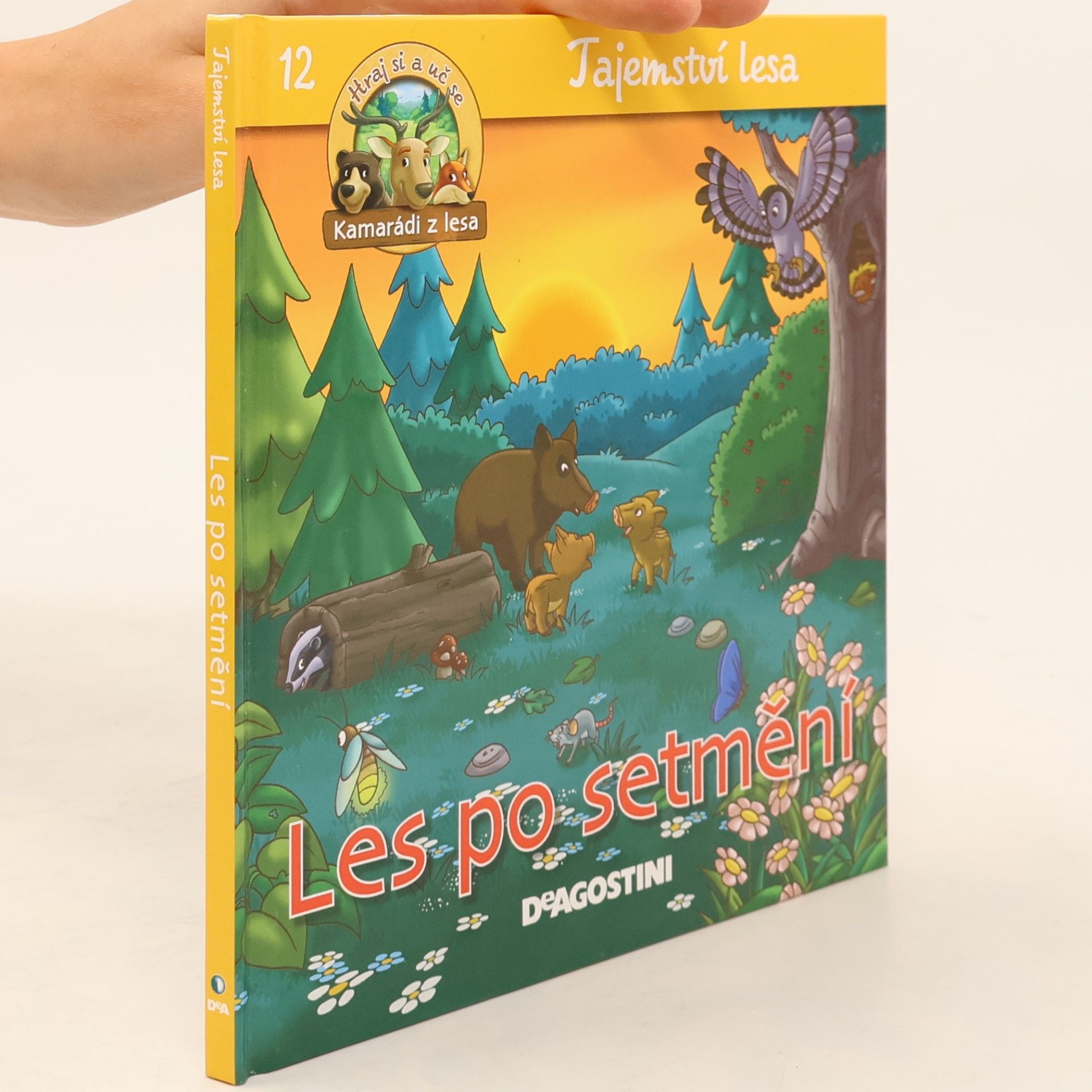 Collectif d'auteurs Tajemství lesa 12. Les po setmění
