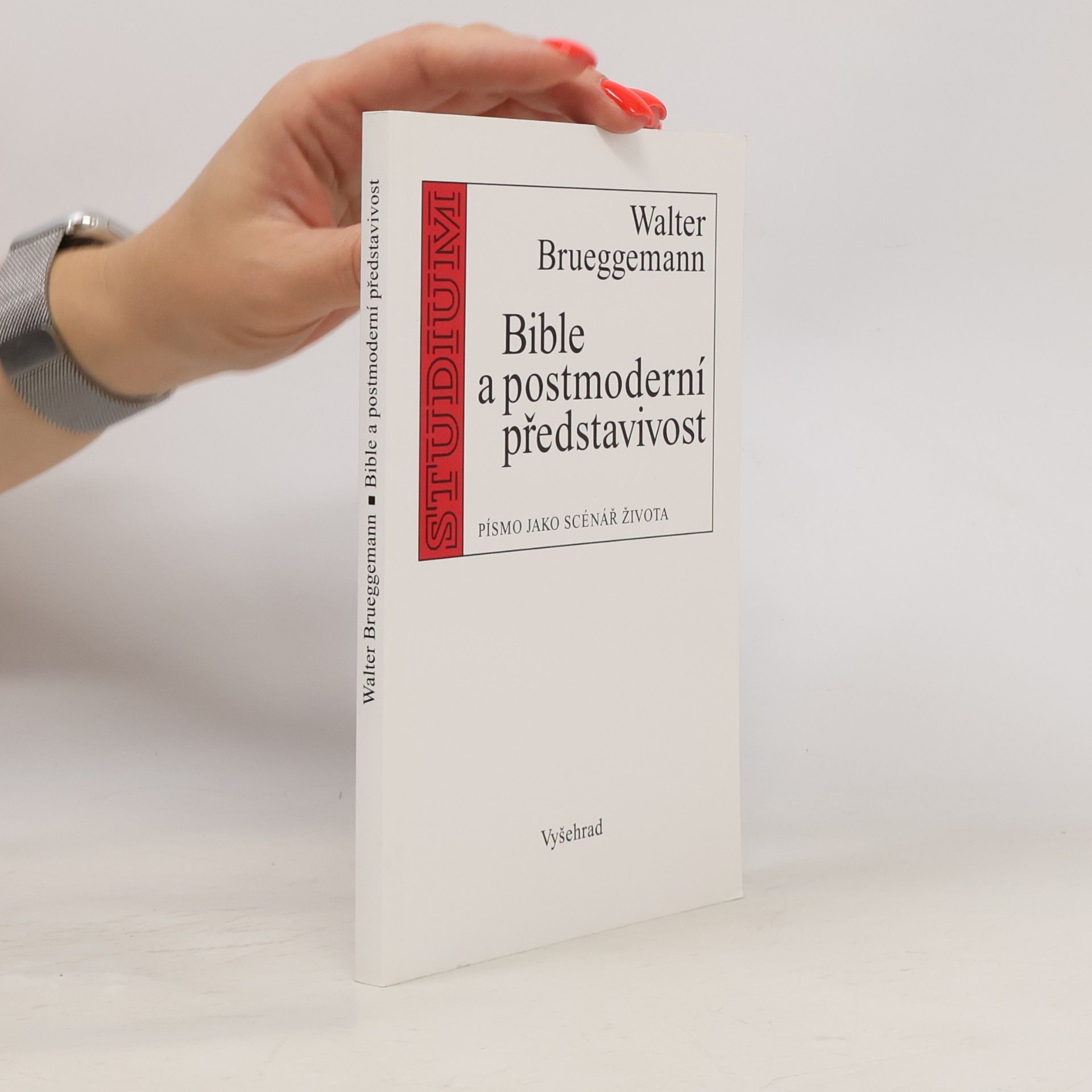 Walter Brueggemann Bible a postmoderní představivost : písmo jako scénář života
