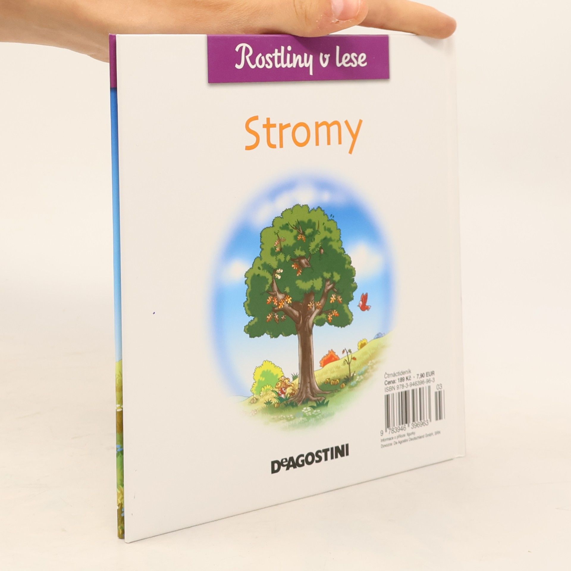 Kolektív autorov Rostliny v lese 11. Stromy