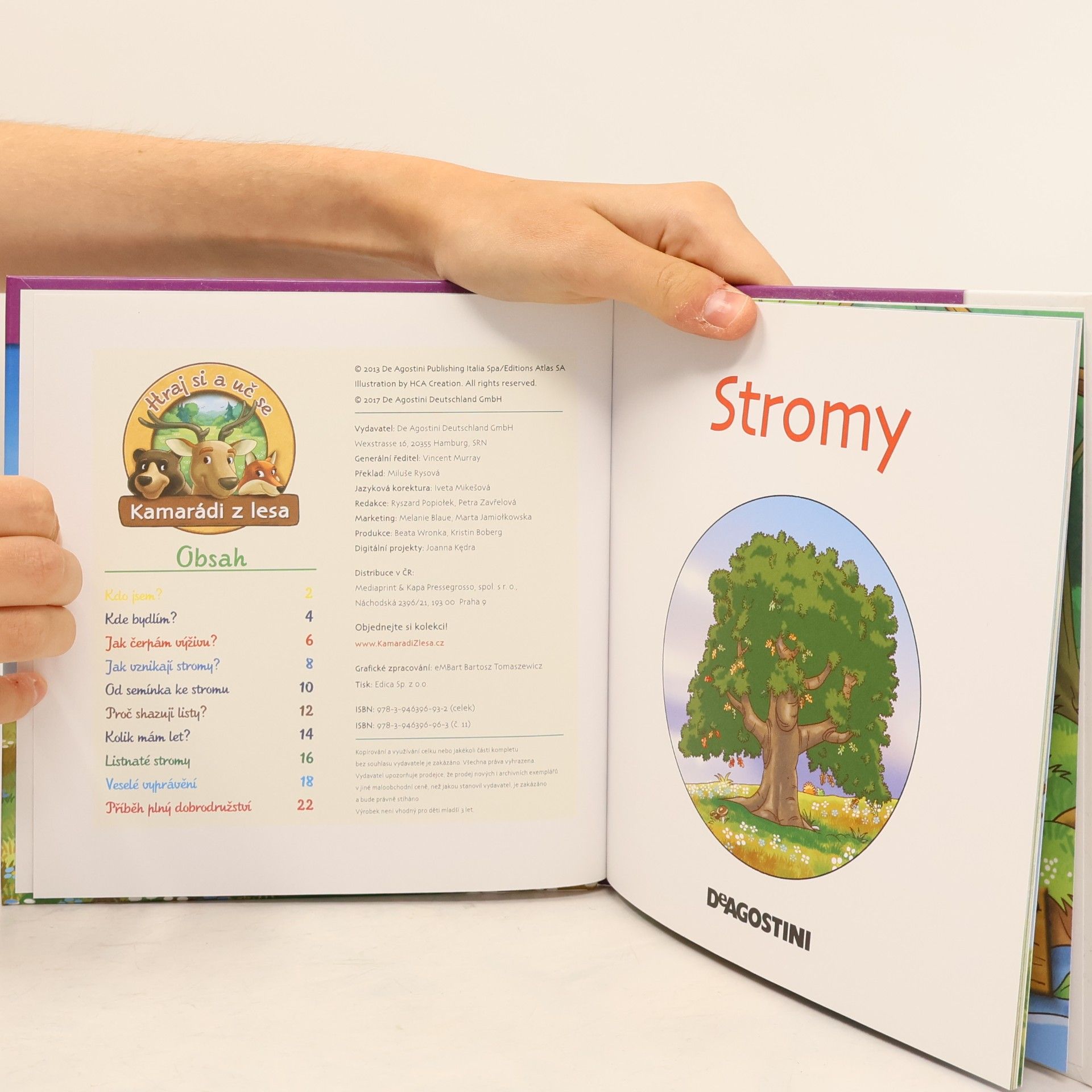 Kolektív autorov Rostliny v lese 11. Stromy
