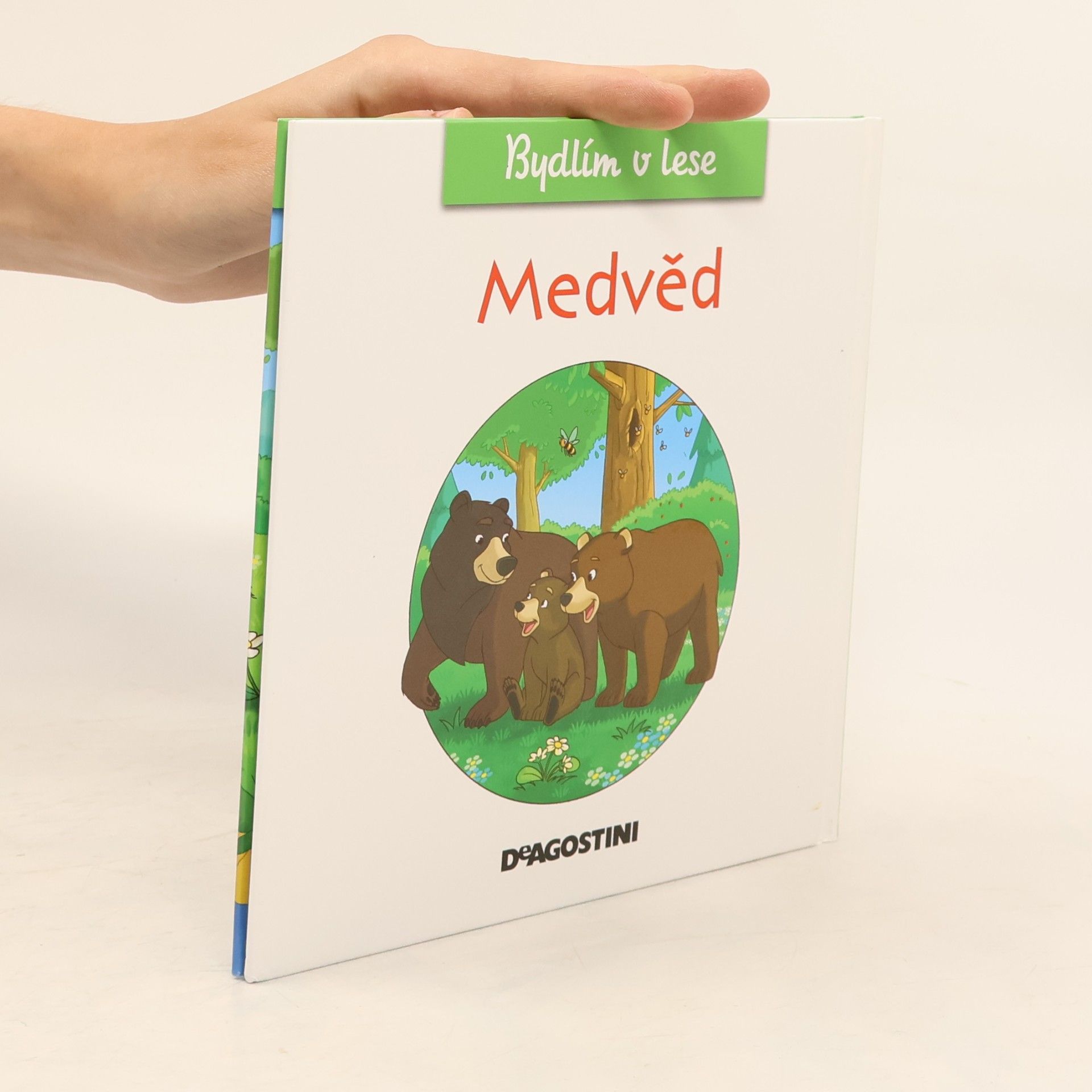 Feryal Kanbay Medvěd