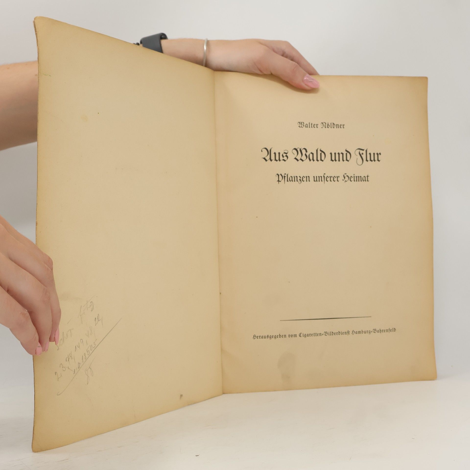 AA.VV. Aus Wald und Flur Sammelalbum 1. Pflanzen unserer Heimat