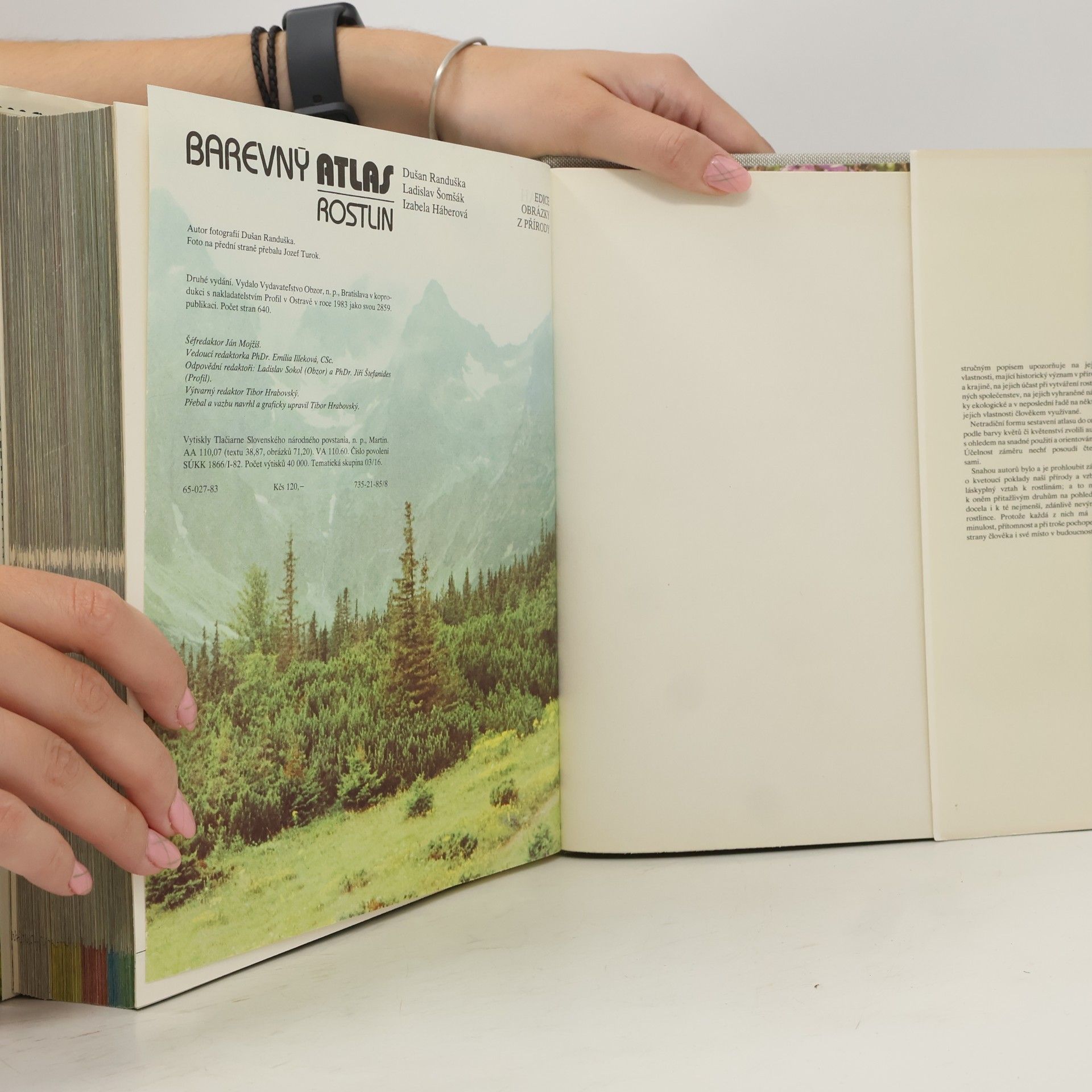 Izabela Háberová Barevný atlas rostlin