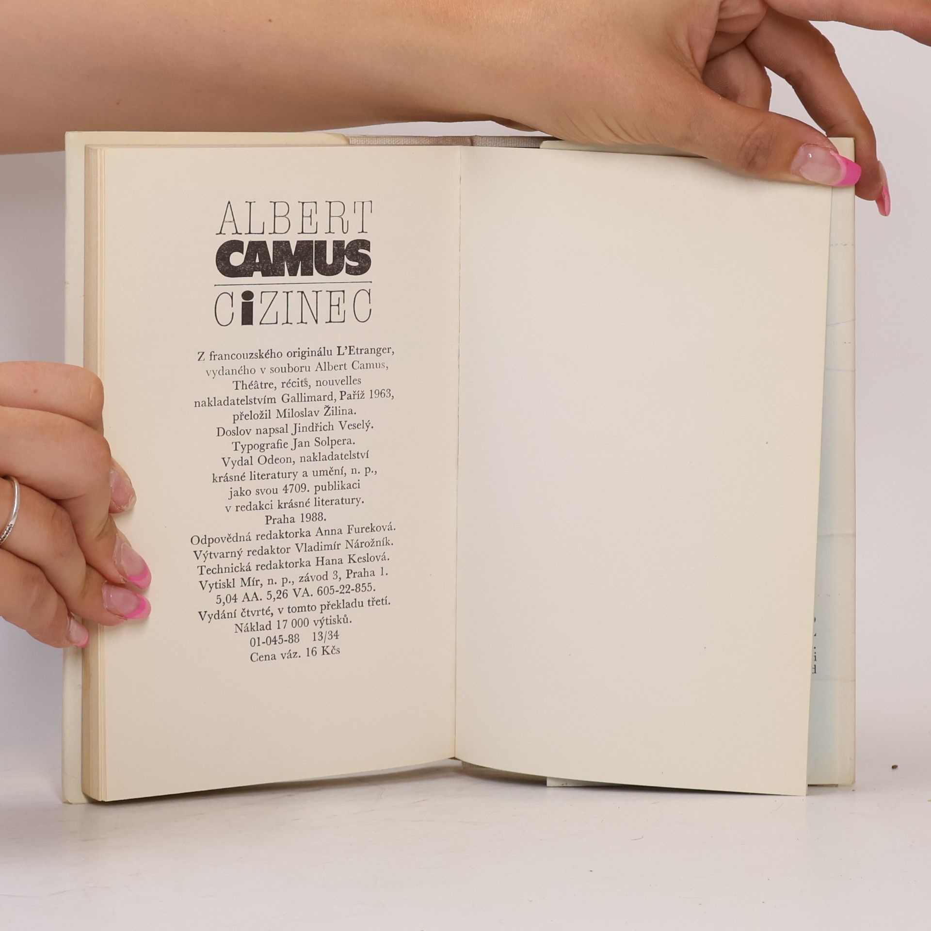 Albert Camus Cizinec