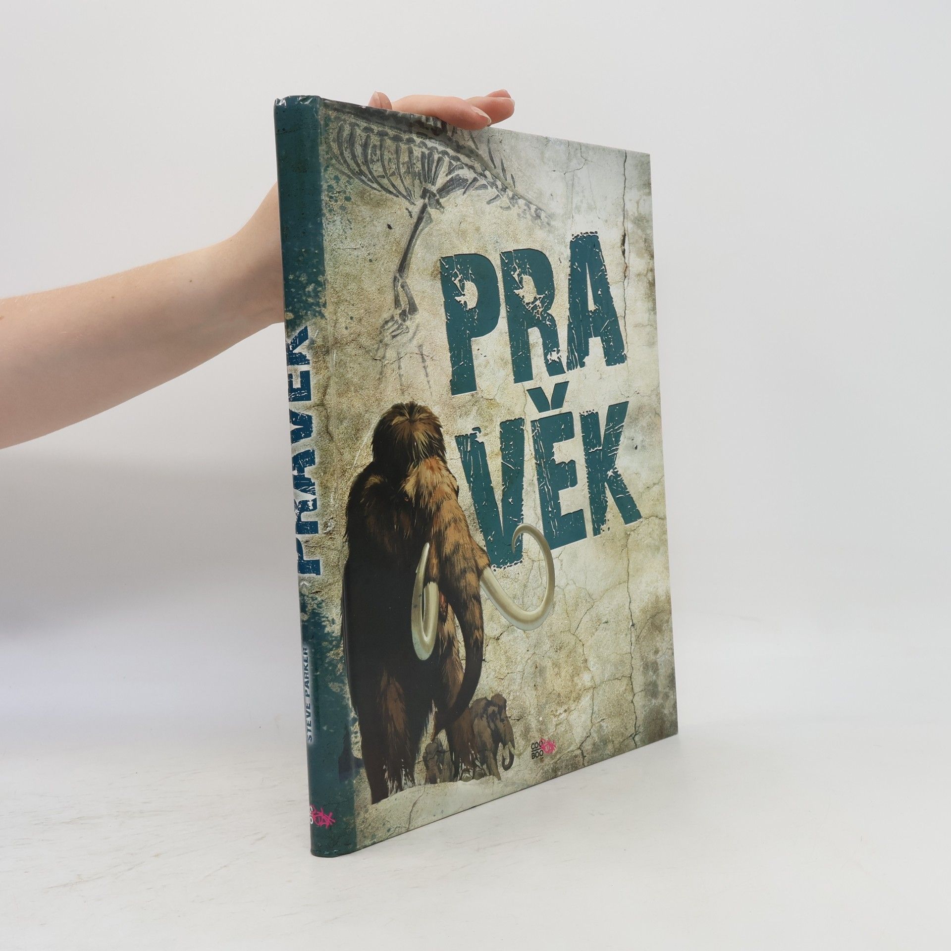 Pravěk