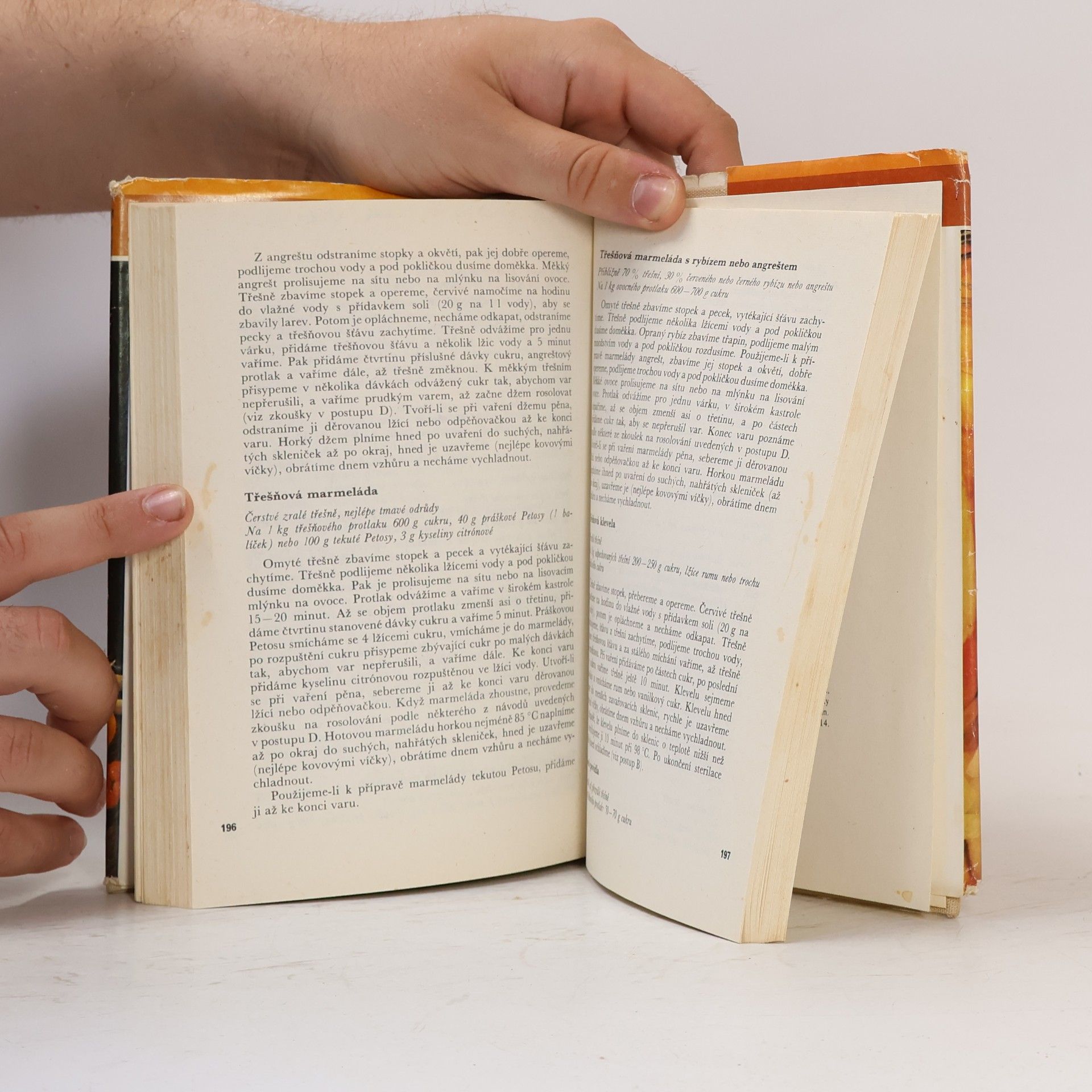 Autorenkollektiv Domácí konzervování ovoce a zeleniny