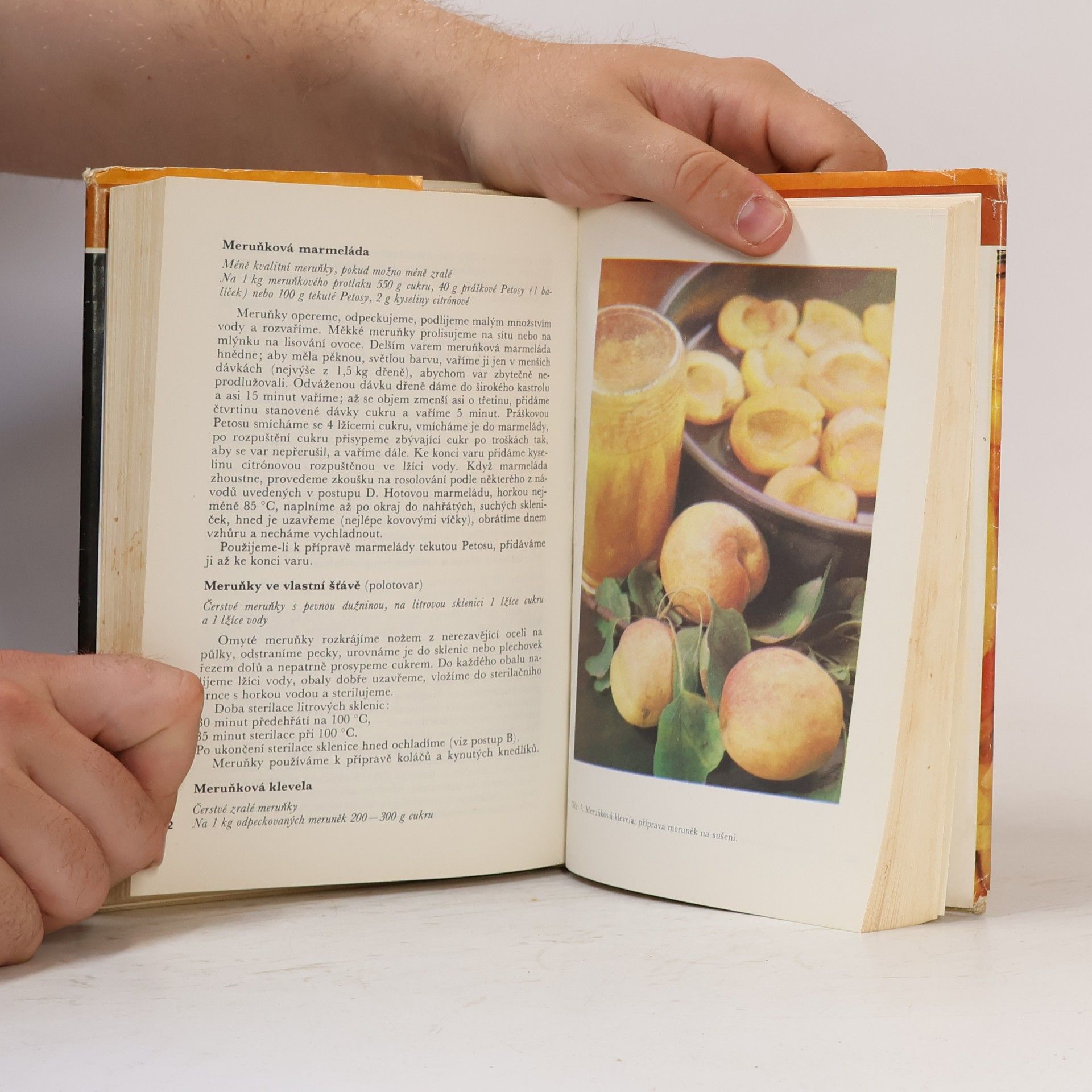 Autorenkollektiv Domácí konzervování ovoce a zeleniny